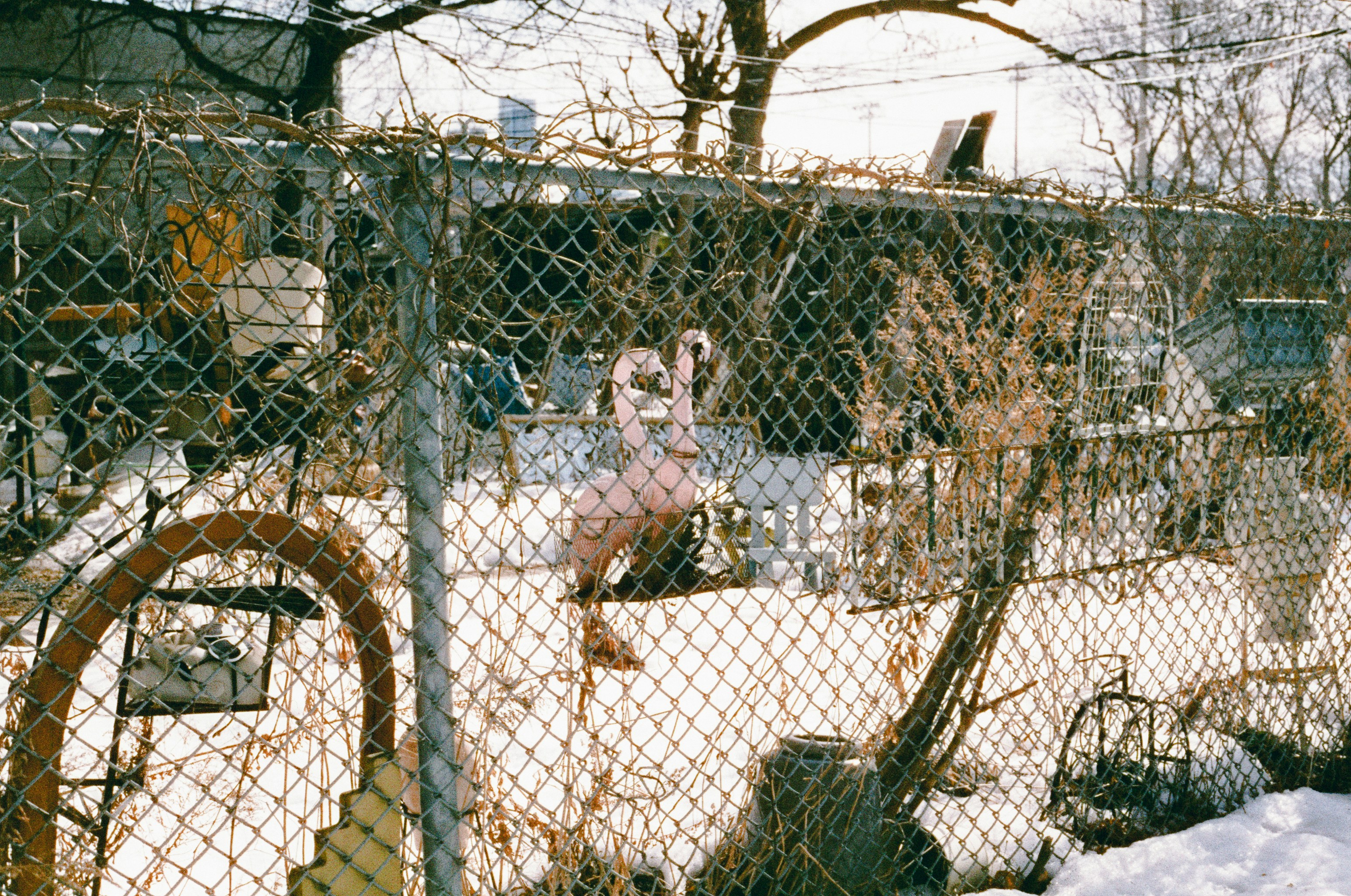 Pink flamingo decoration hanging on a fence