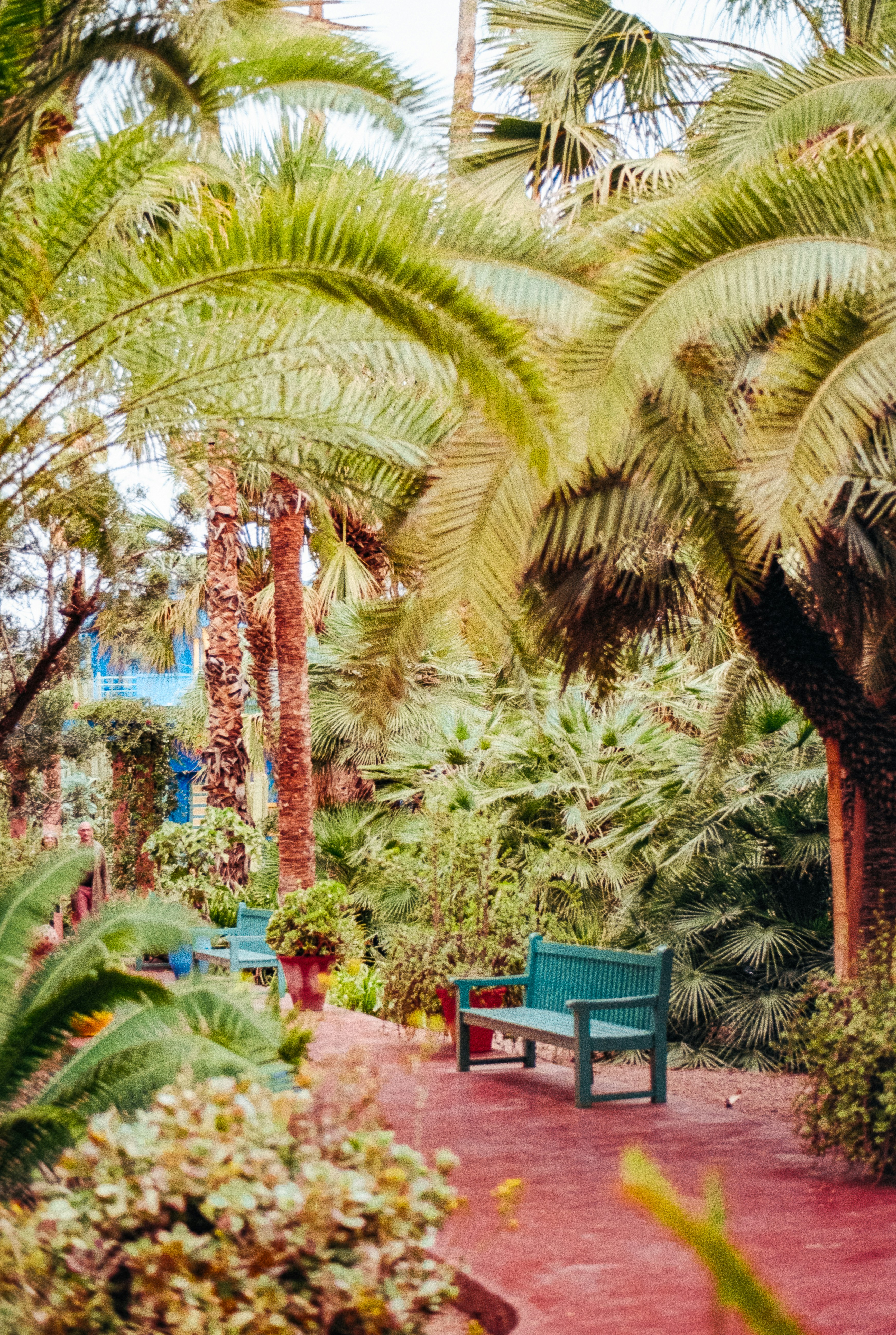 Photo by bethchobanova