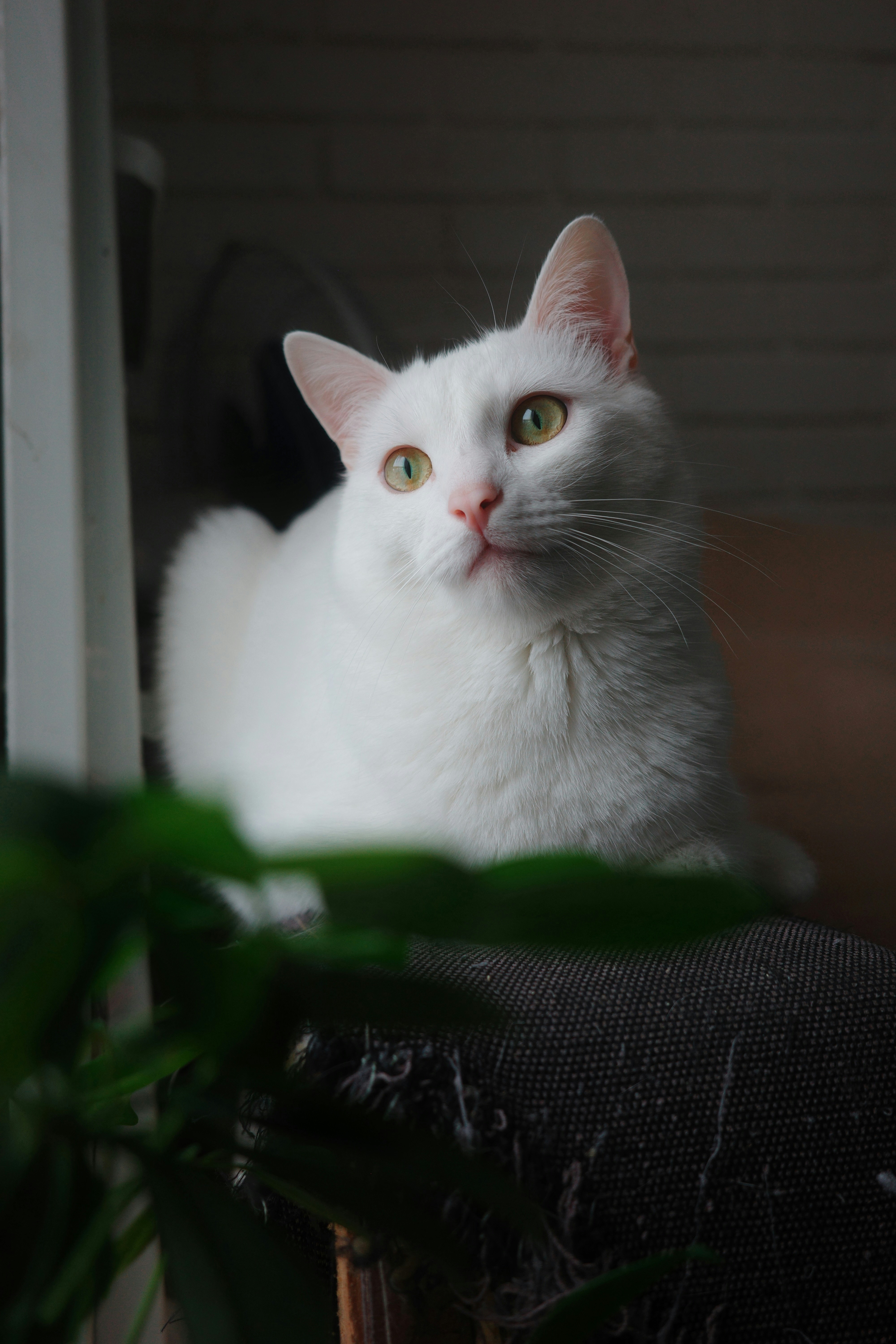 Photo by lvovandrewph