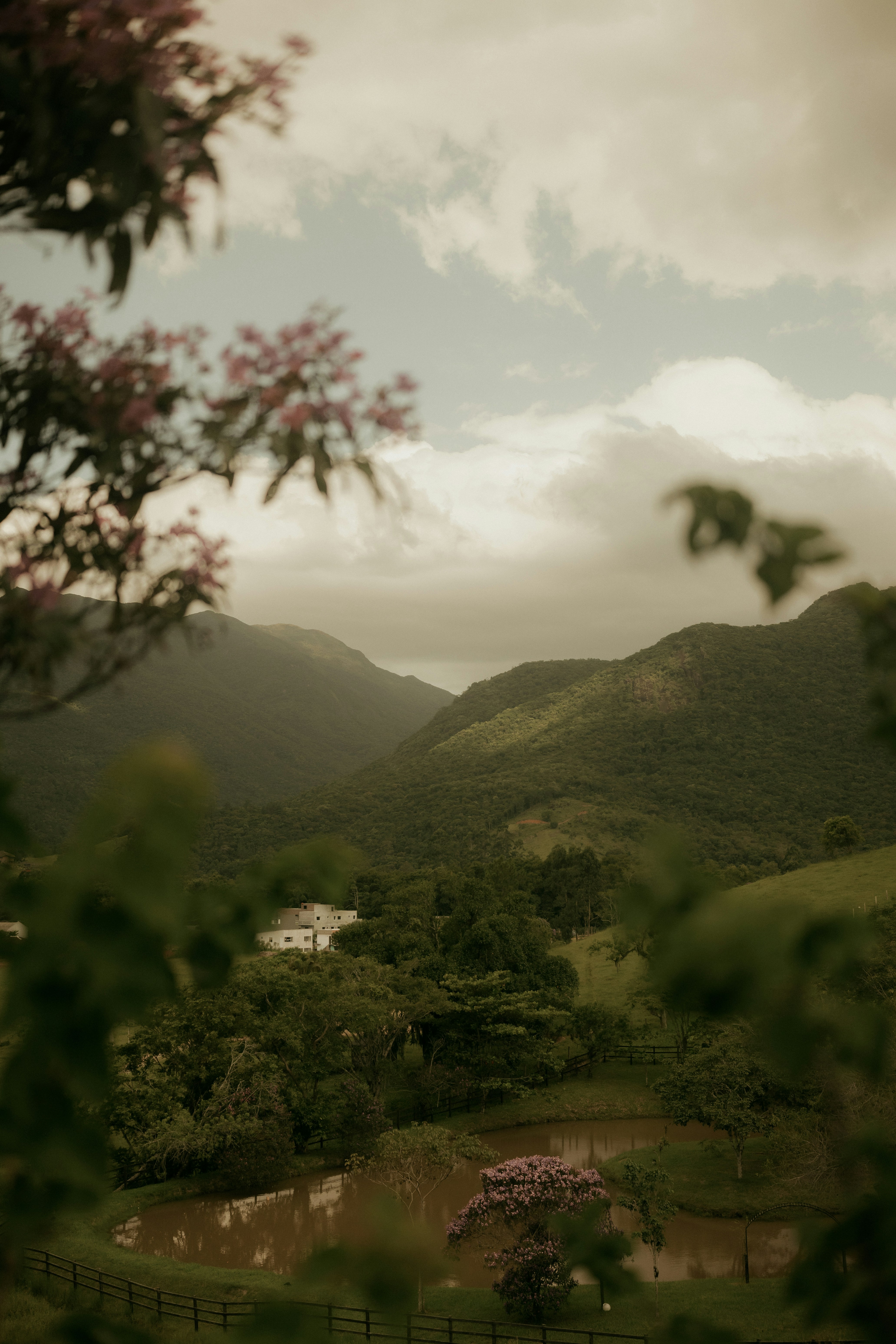 Photo by alexandermassph