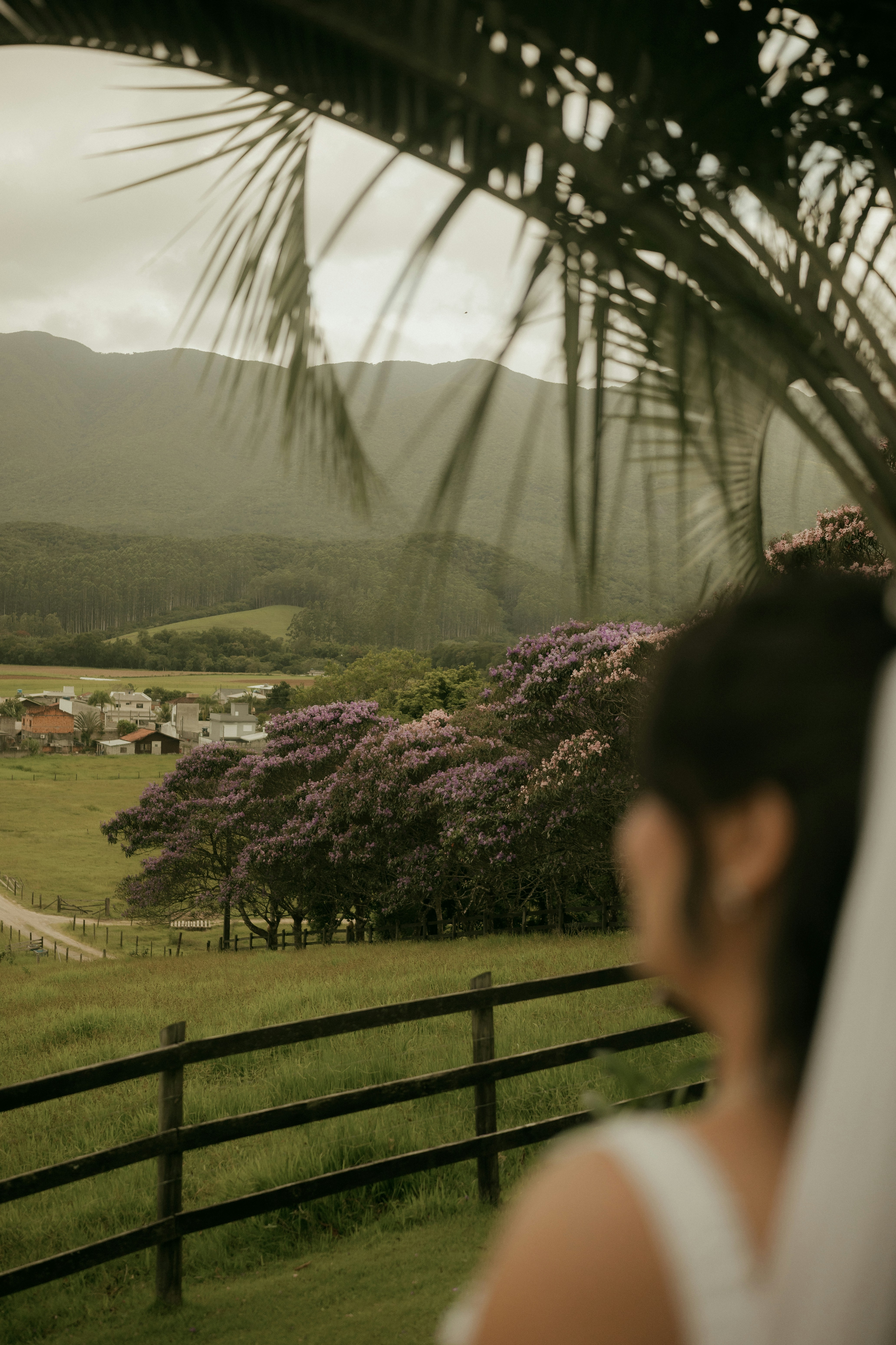 Photo by alexandermassph