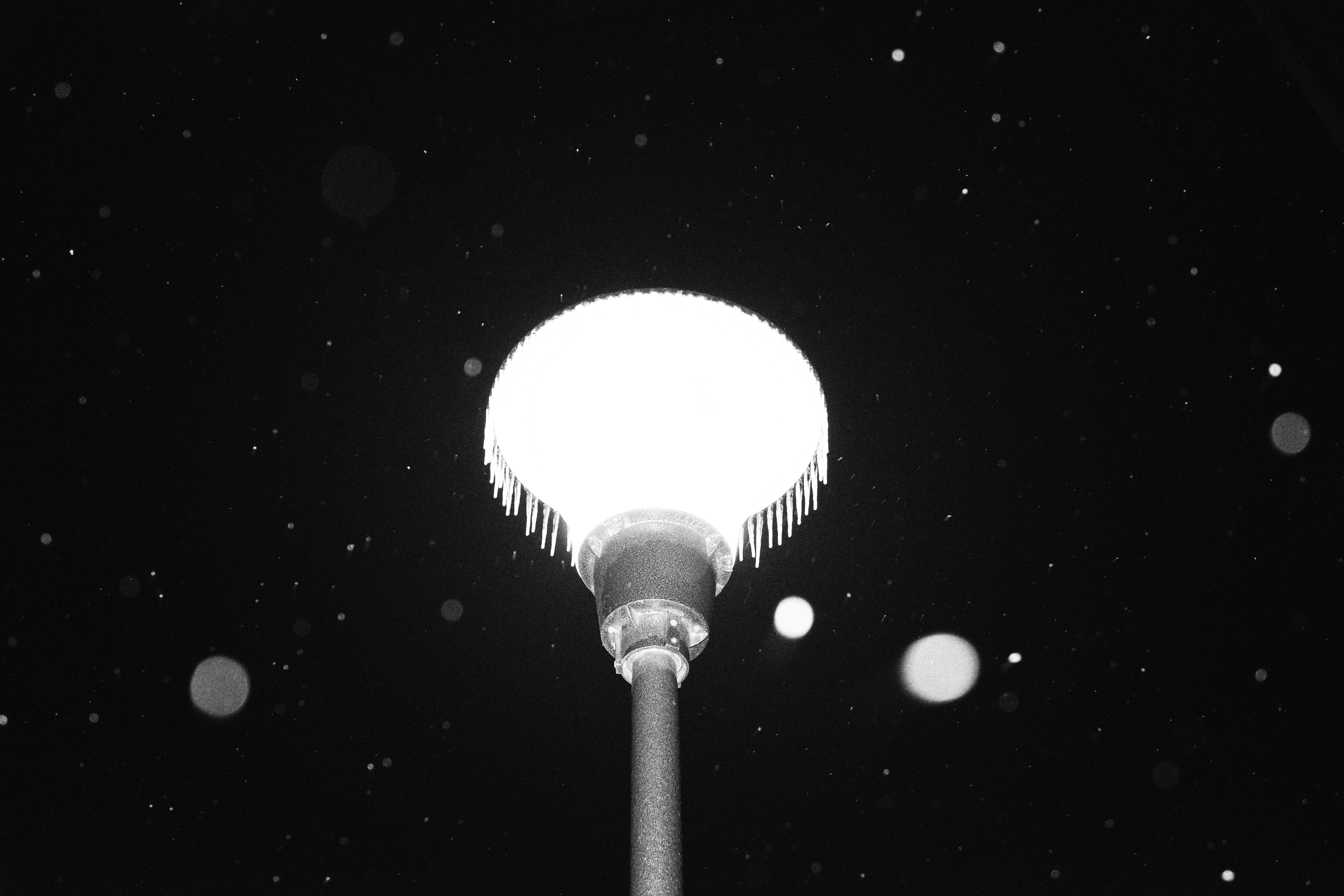 Photo by lvovandrewph