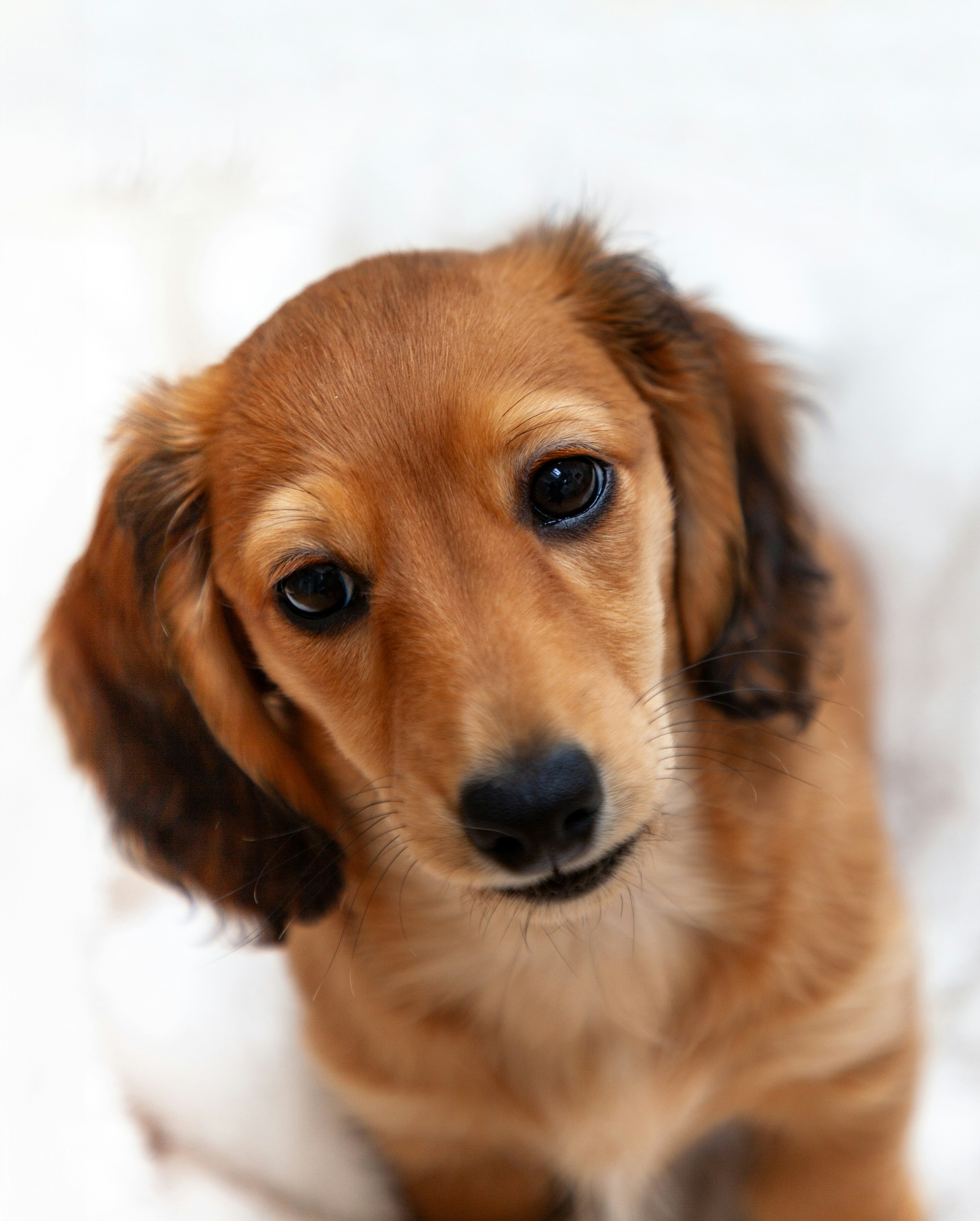 Photo by campfire_guy