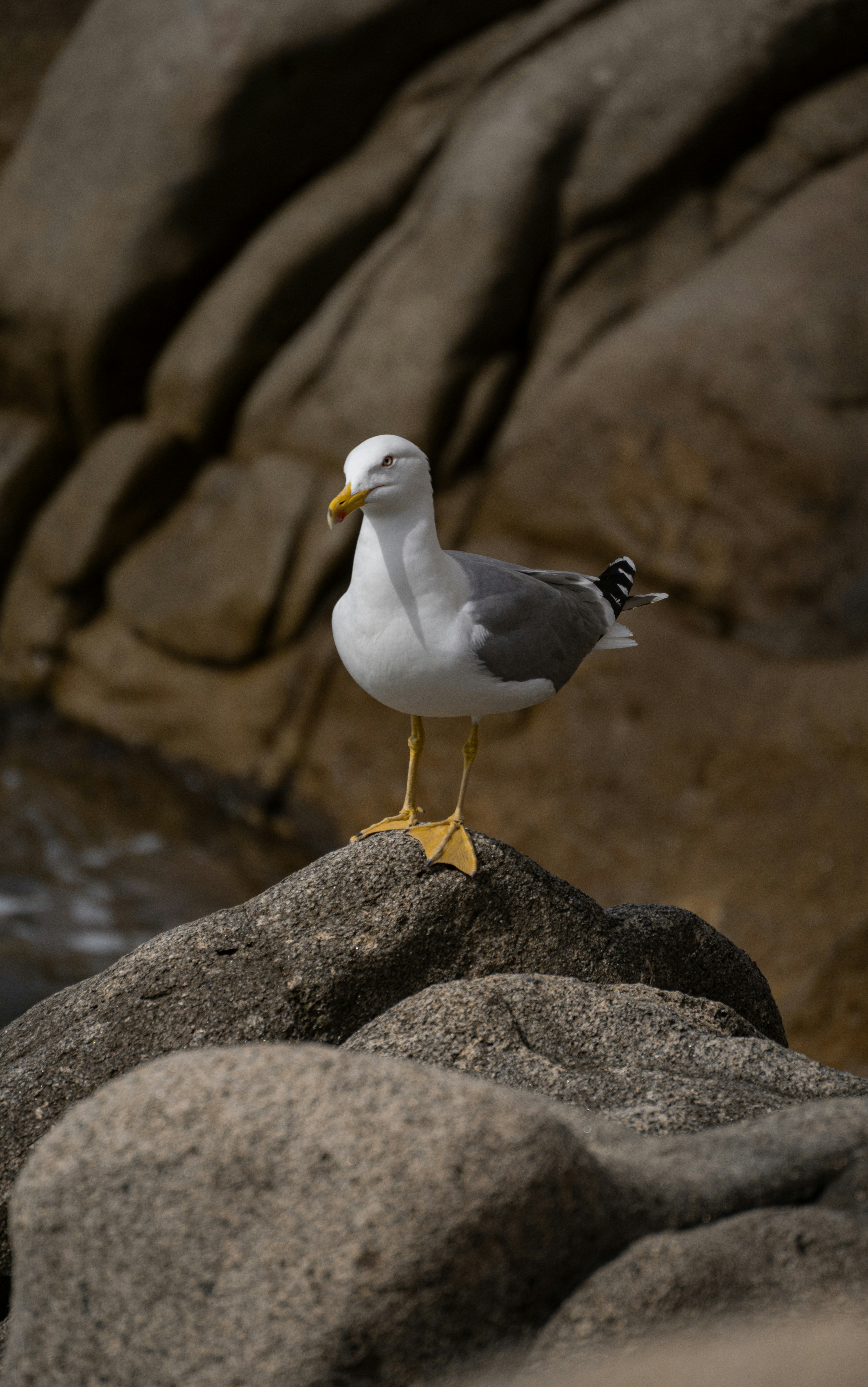 Photo by riccardovosti