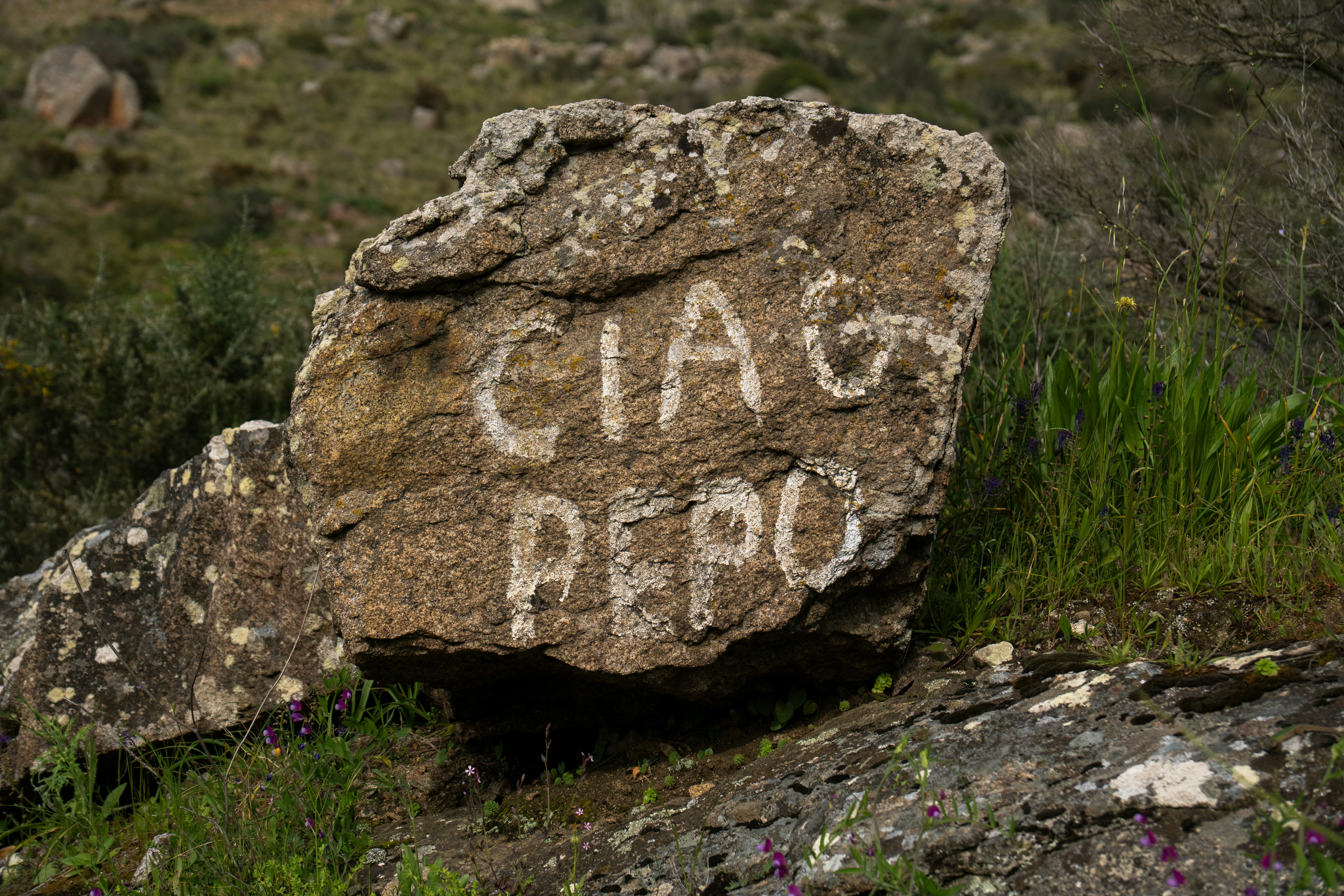 Laguna Del Perro Historical Marker