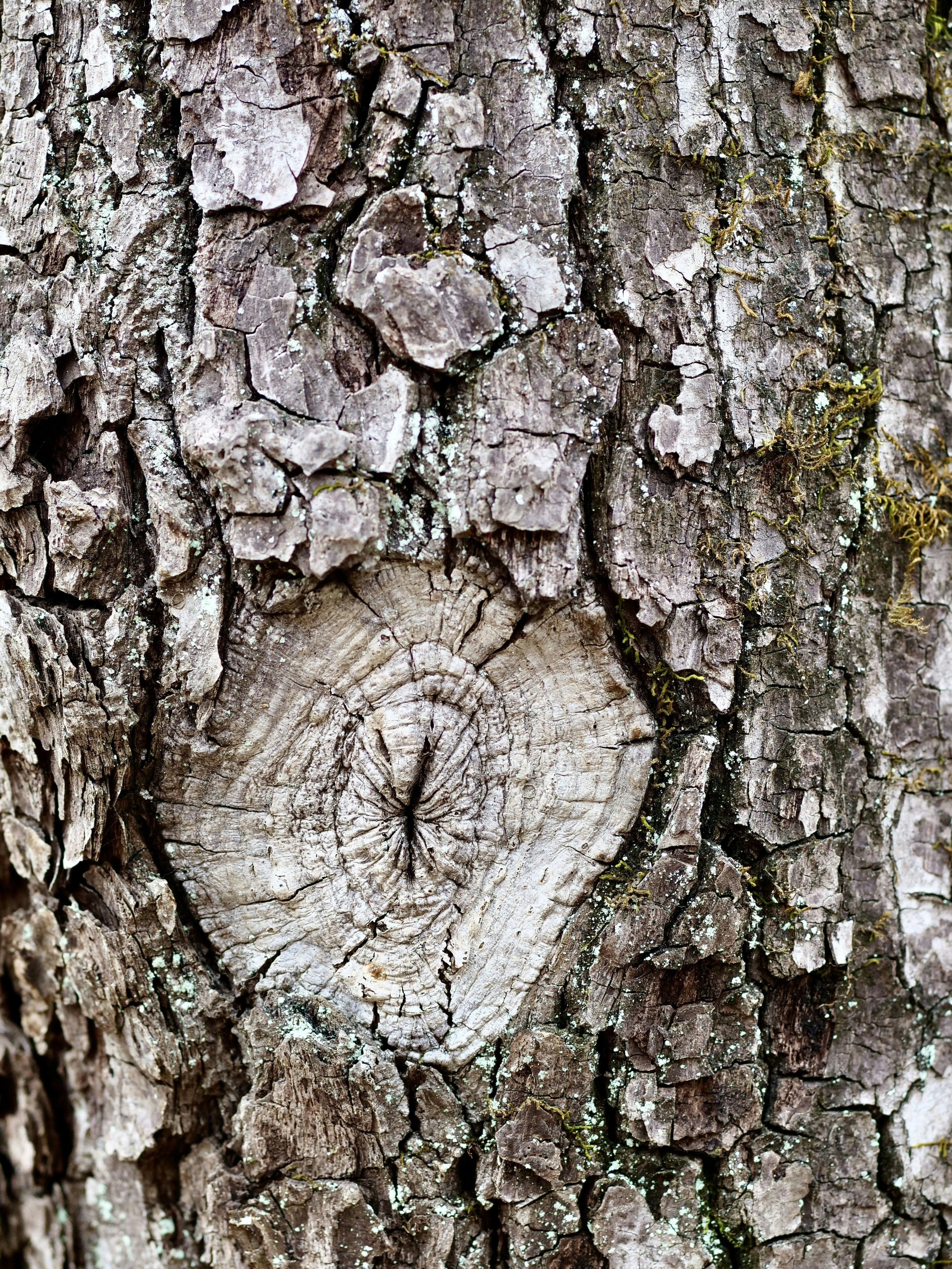 Photo by sschusterphotoart