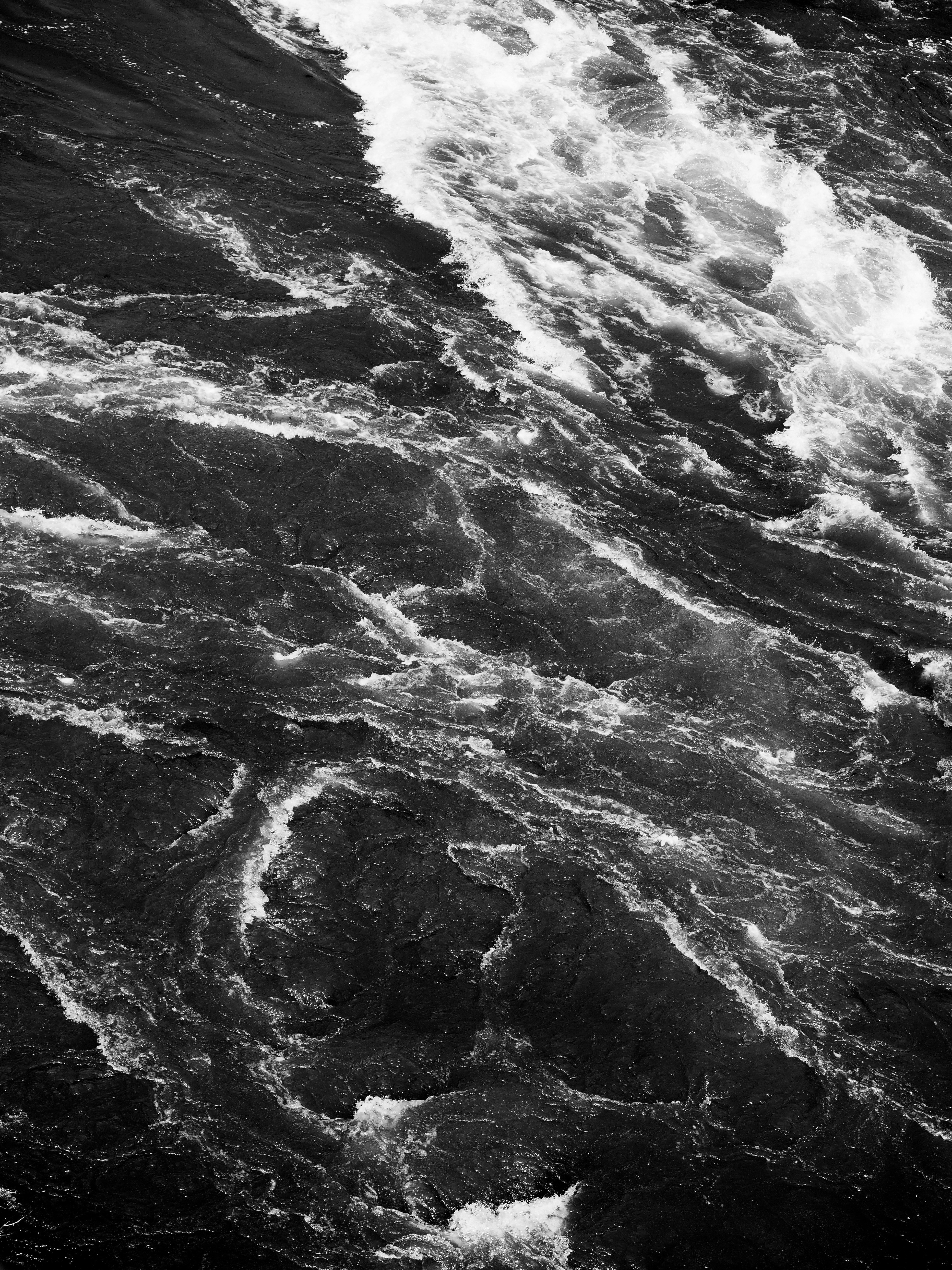 Photo by sschusterphotoart