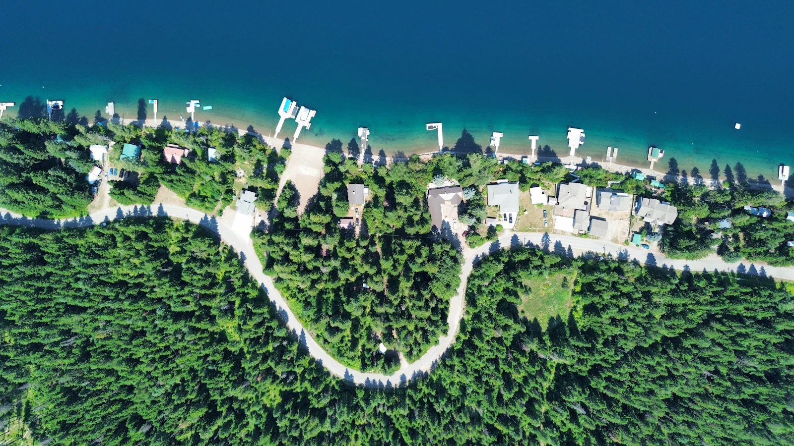 Aerial view of a lakeside village surrounded by forest