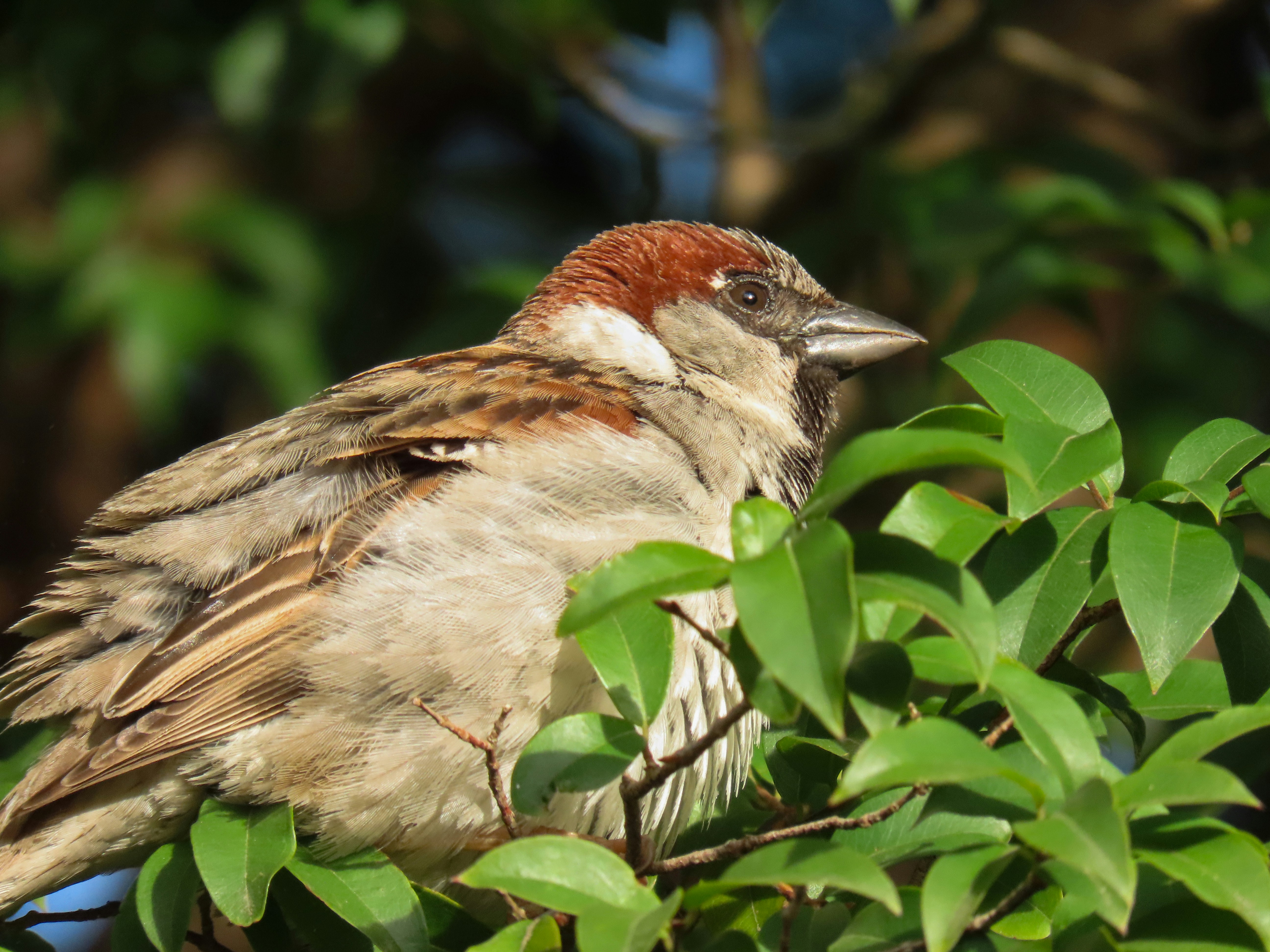 Photo by patricianicoloso