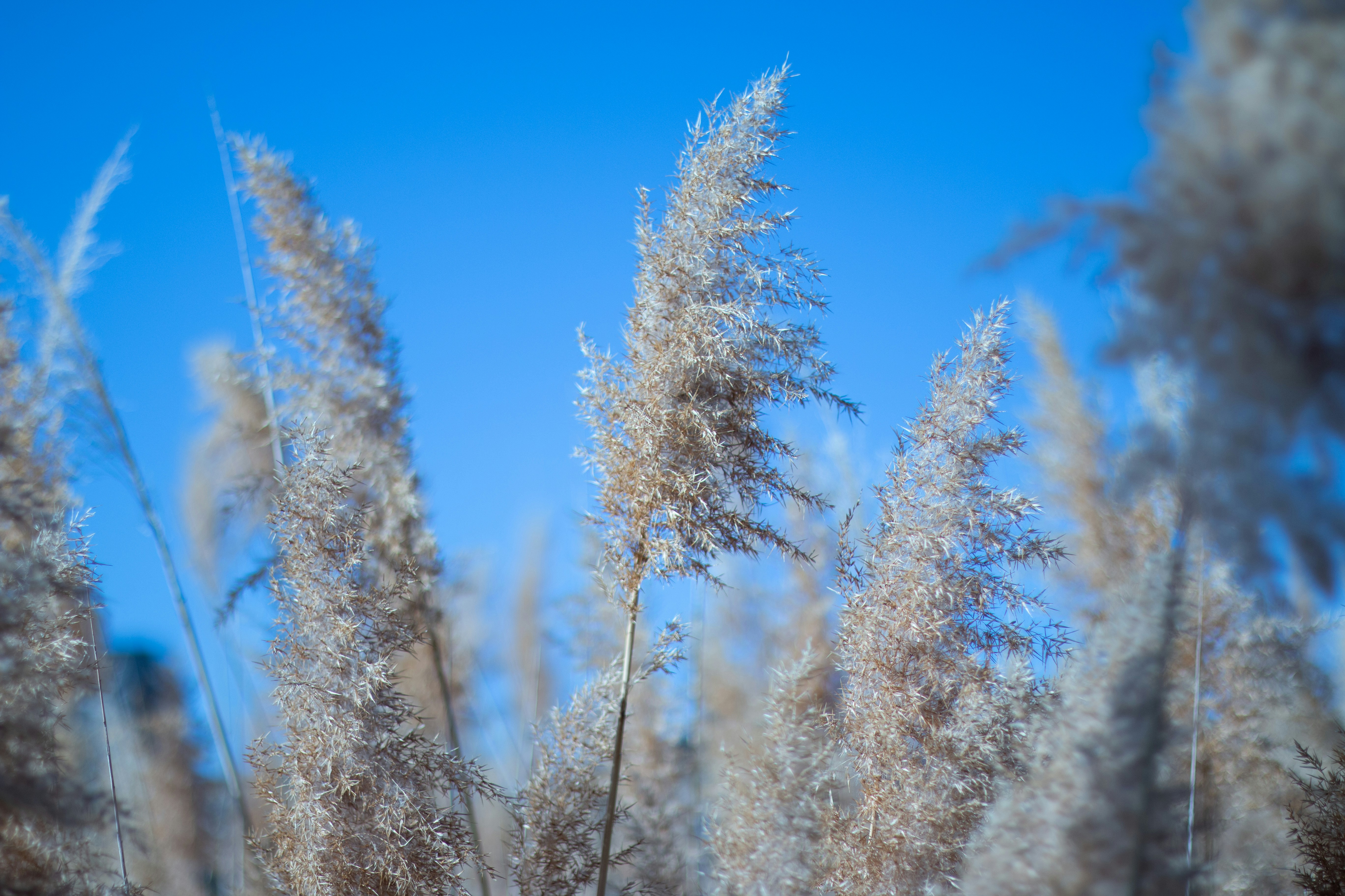 Photo by hadopelagic