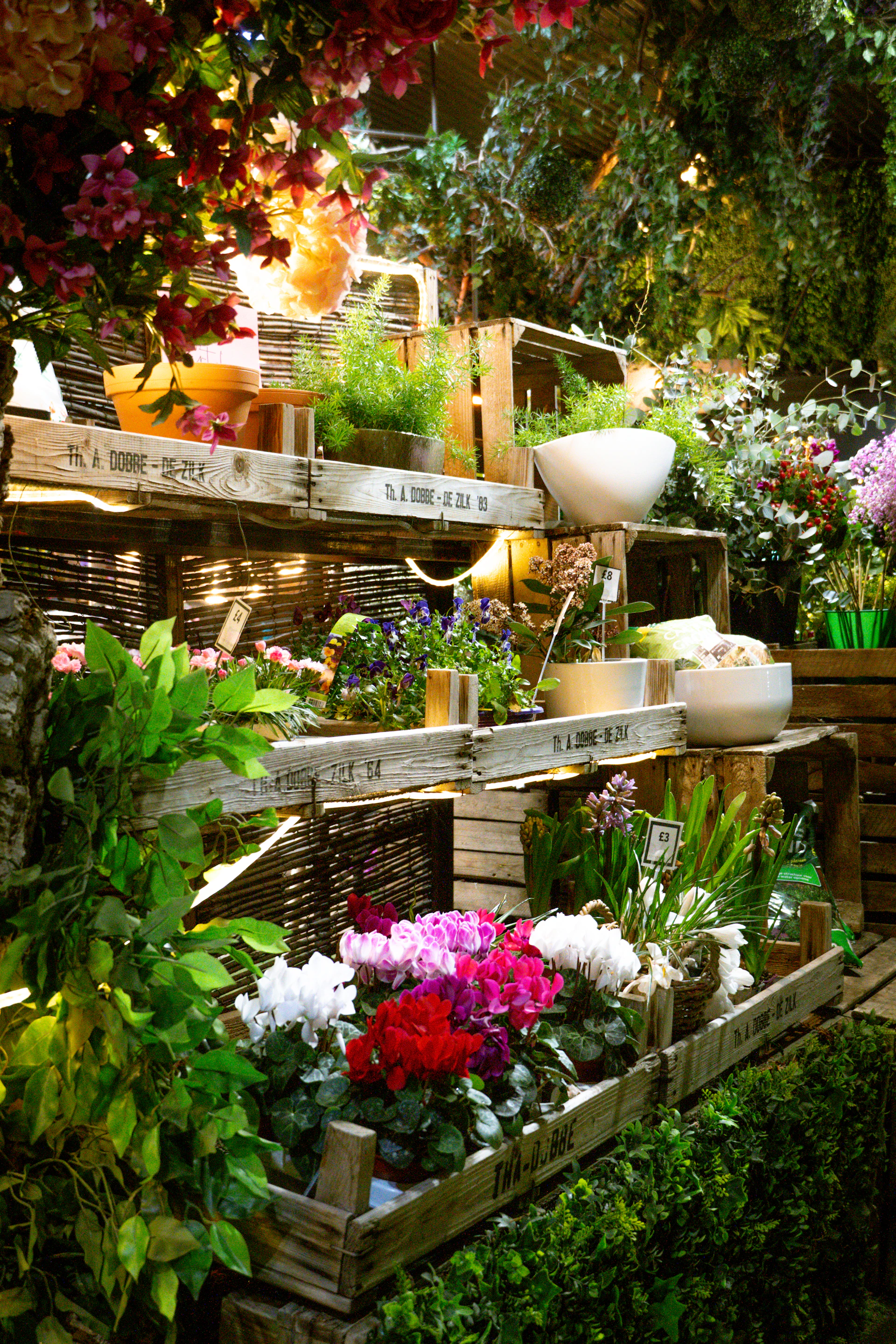 Various plants and flowers displayed in wooden crates.