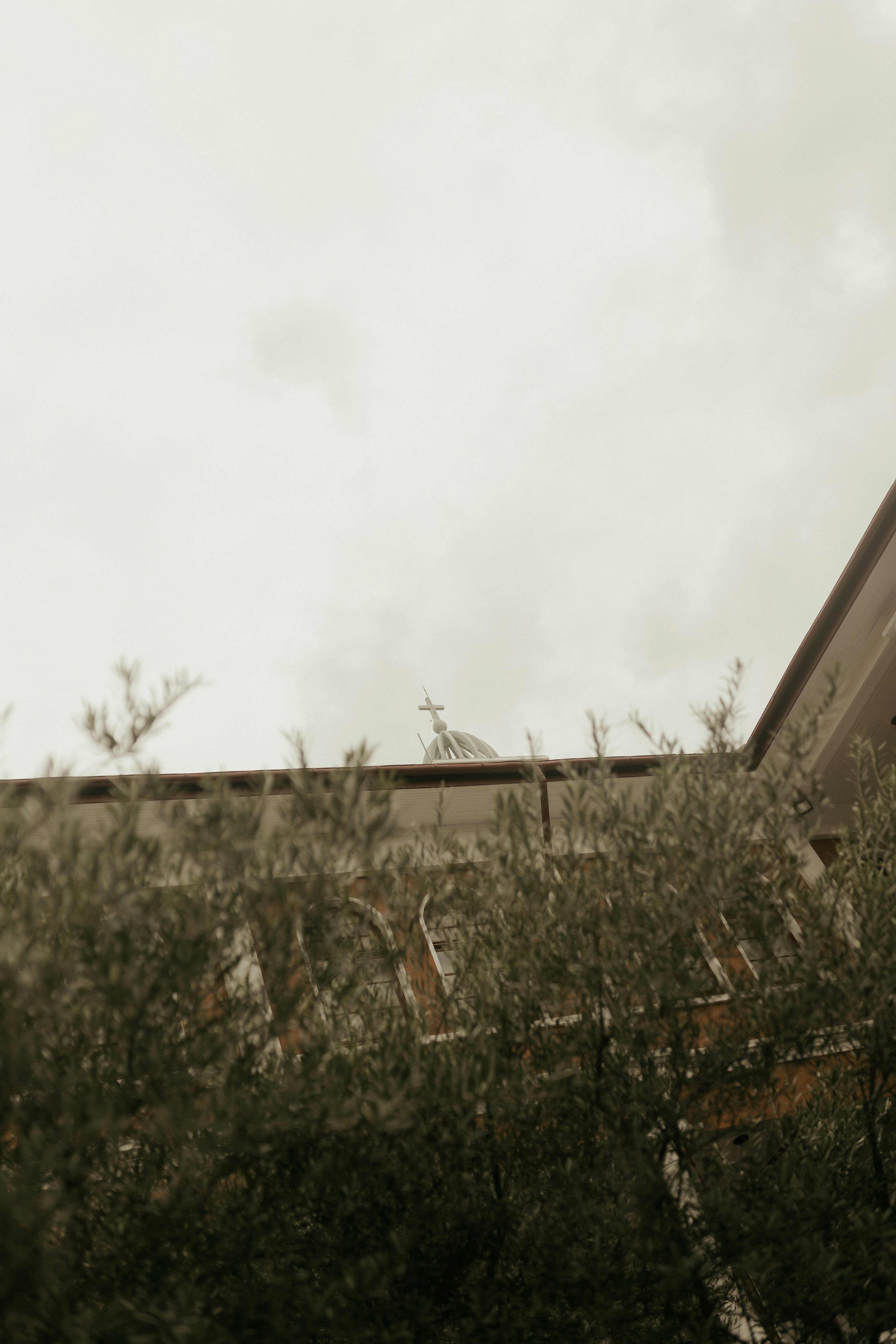 Photo by alexandermassph