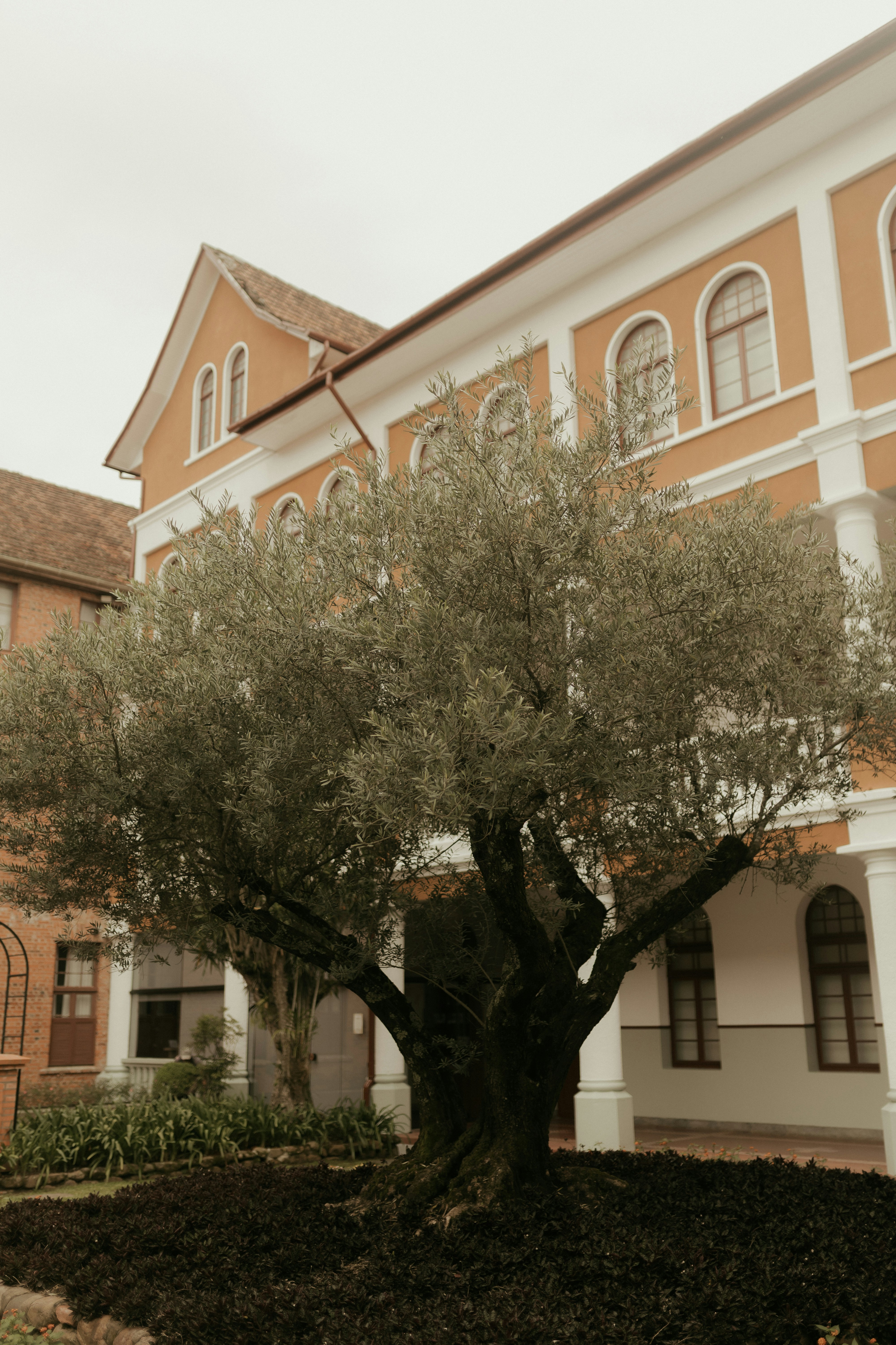 Photo by alexandermassph