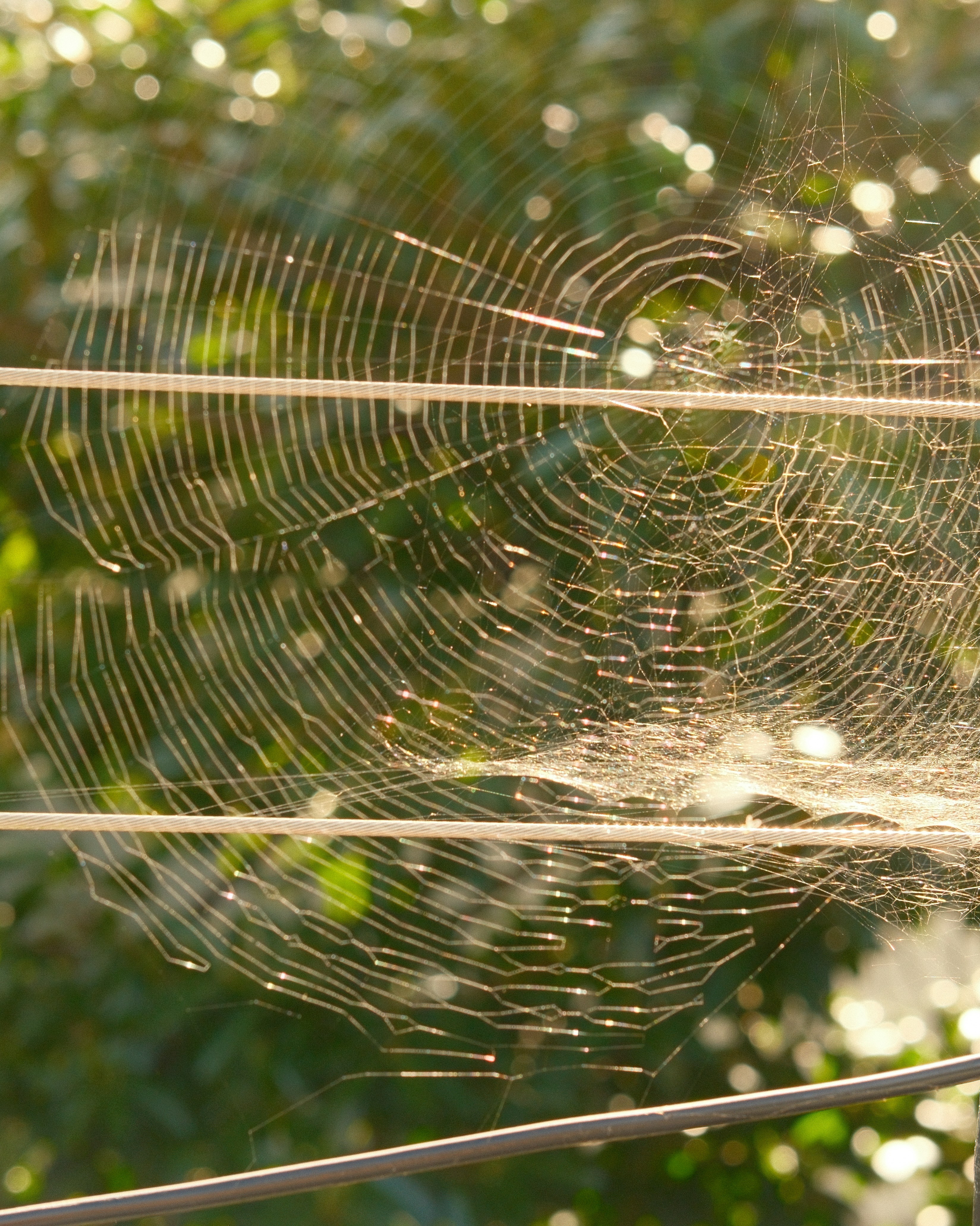 Photo by kalaniparker