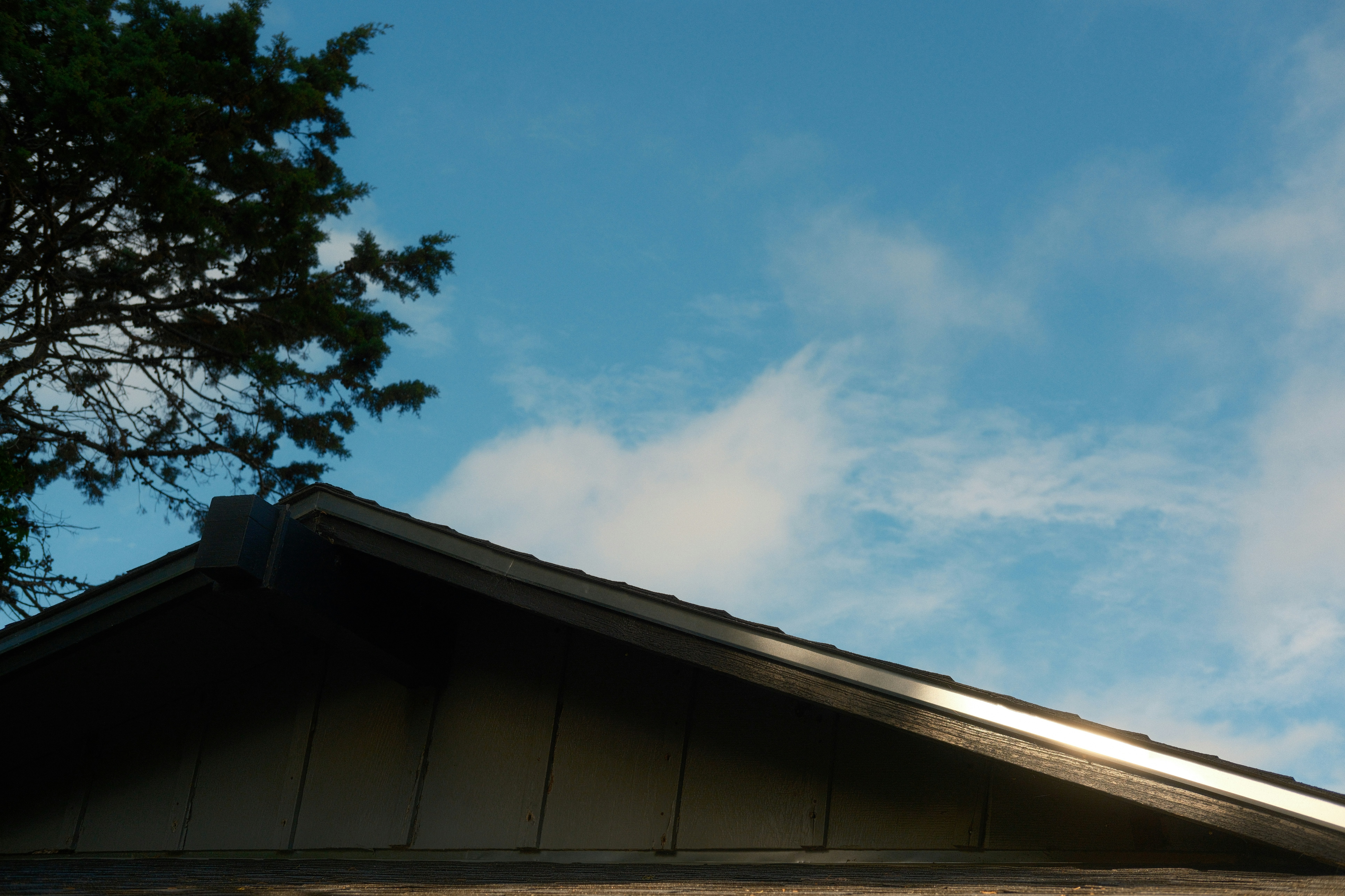 Photo by kalaniparker