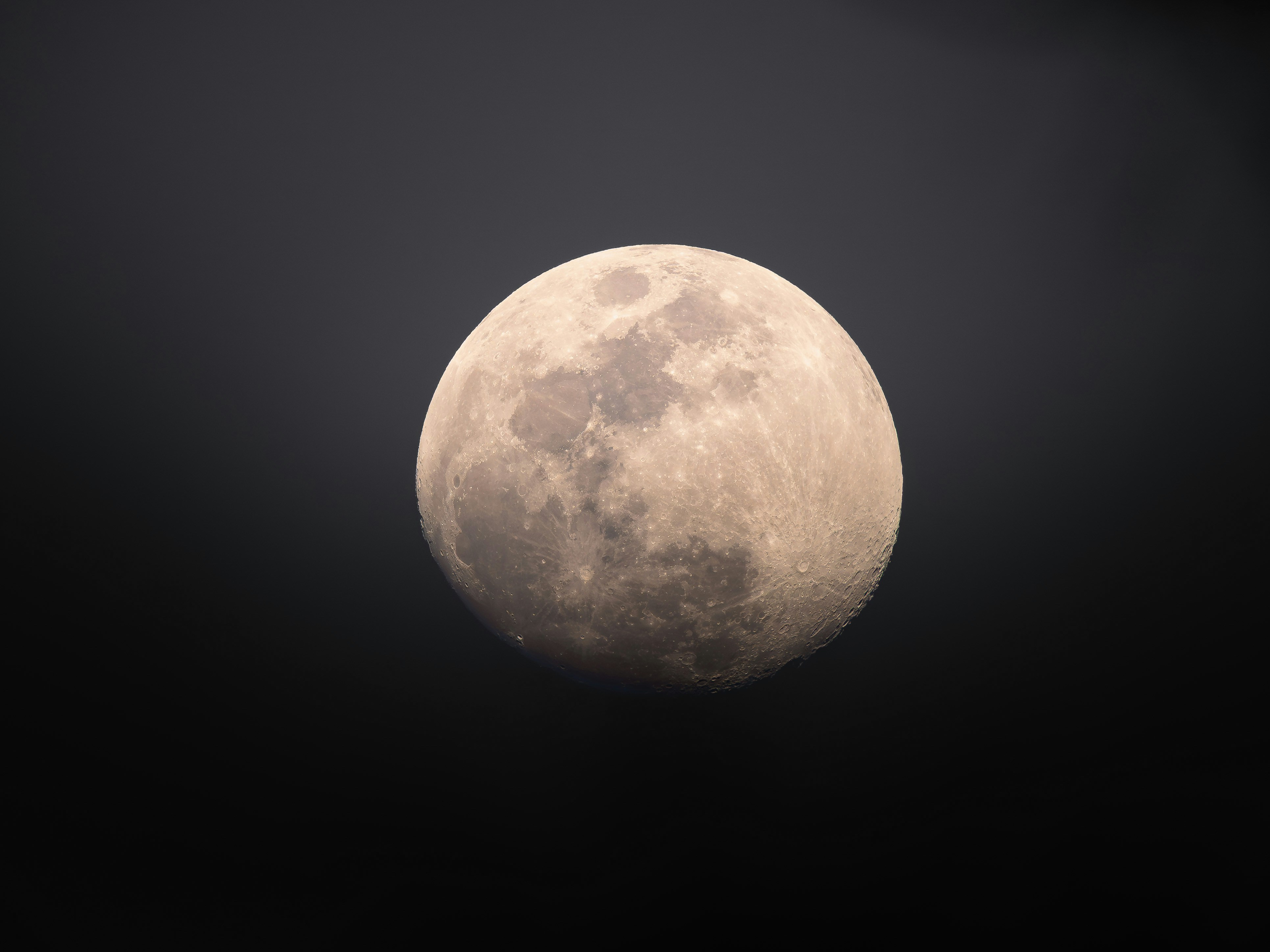 The Fundamental Guide to Comprehending Designated Agents of Record