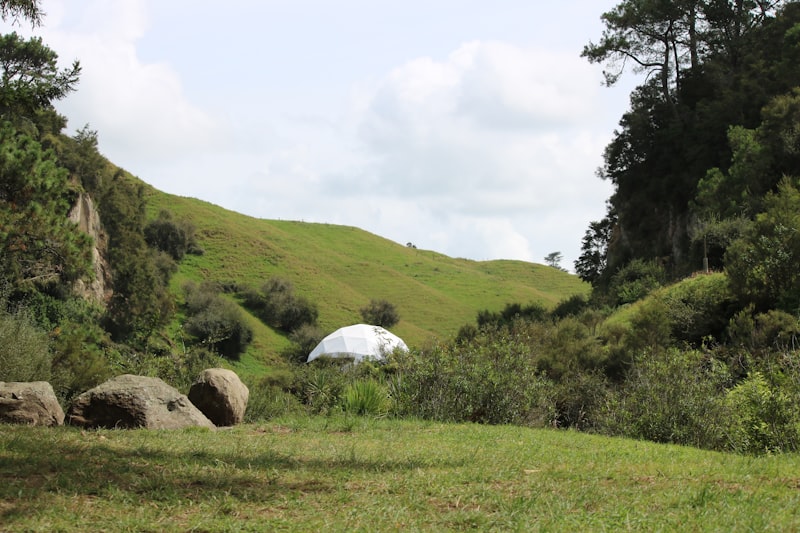 Geodesic dome in nature