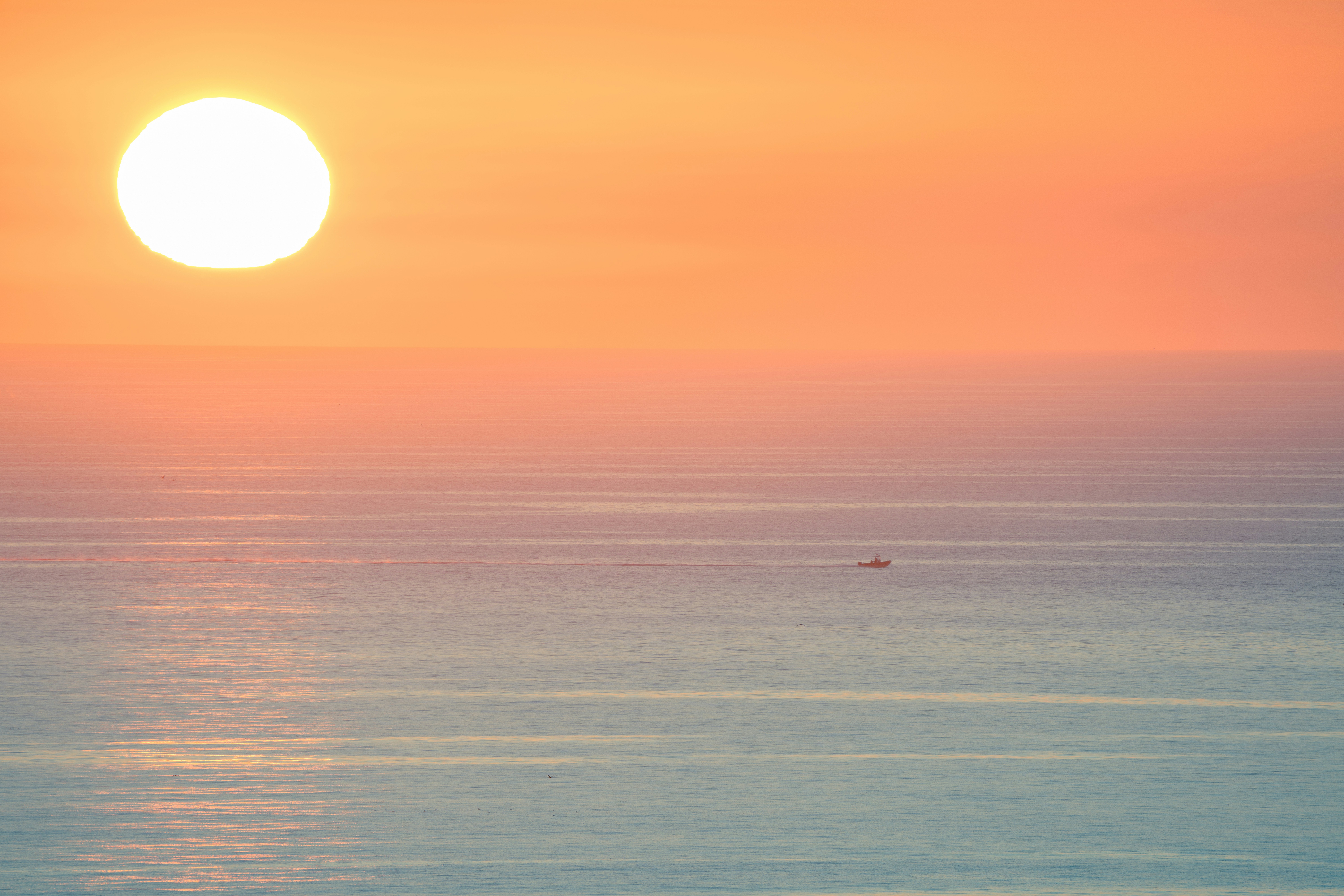 Photo by marwan_abdalah