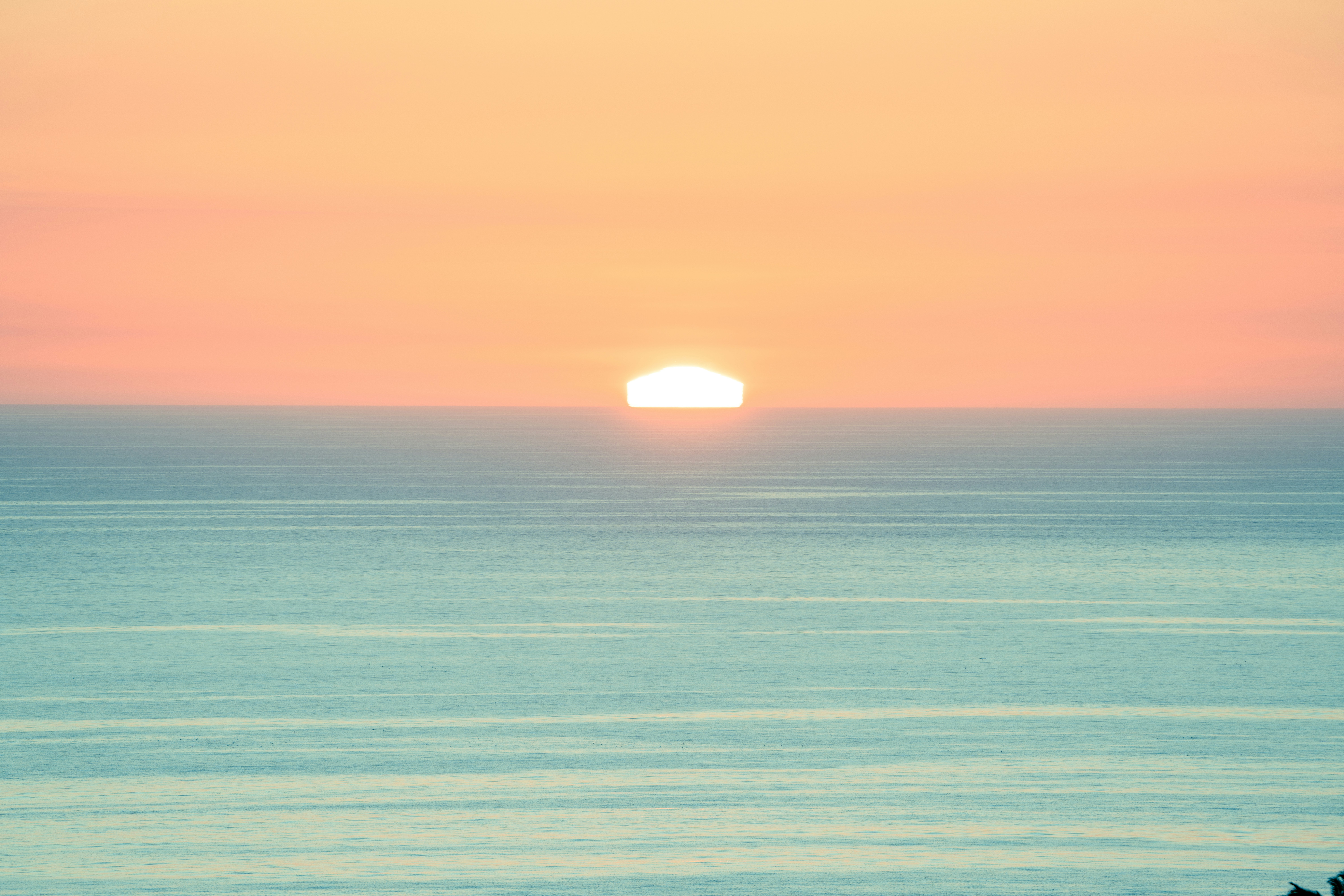 Photo by marwan_abdalah