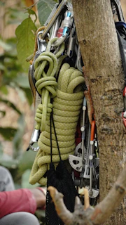Climbing gear and ropes hanging on a tree.