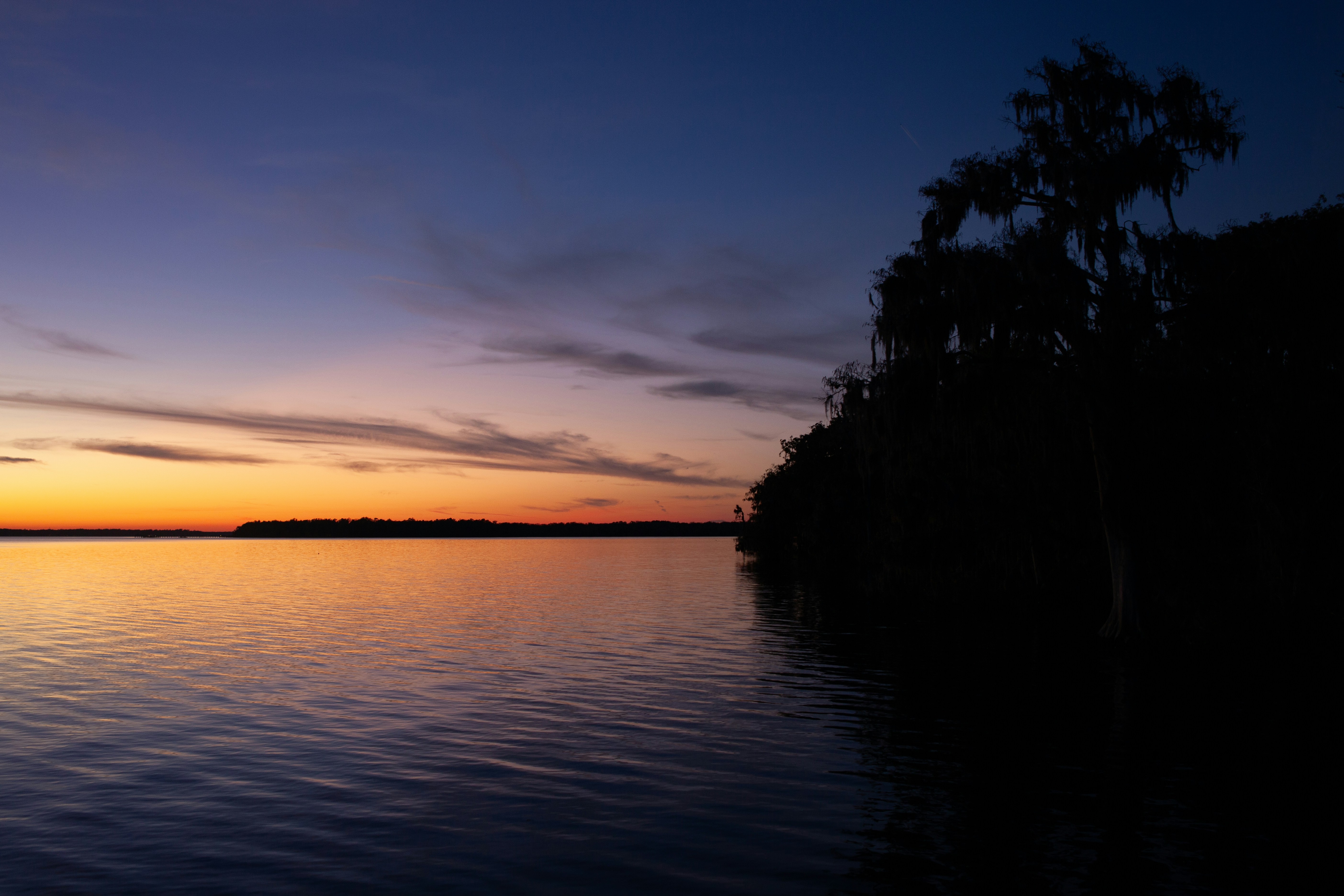 Photo by frontspace101