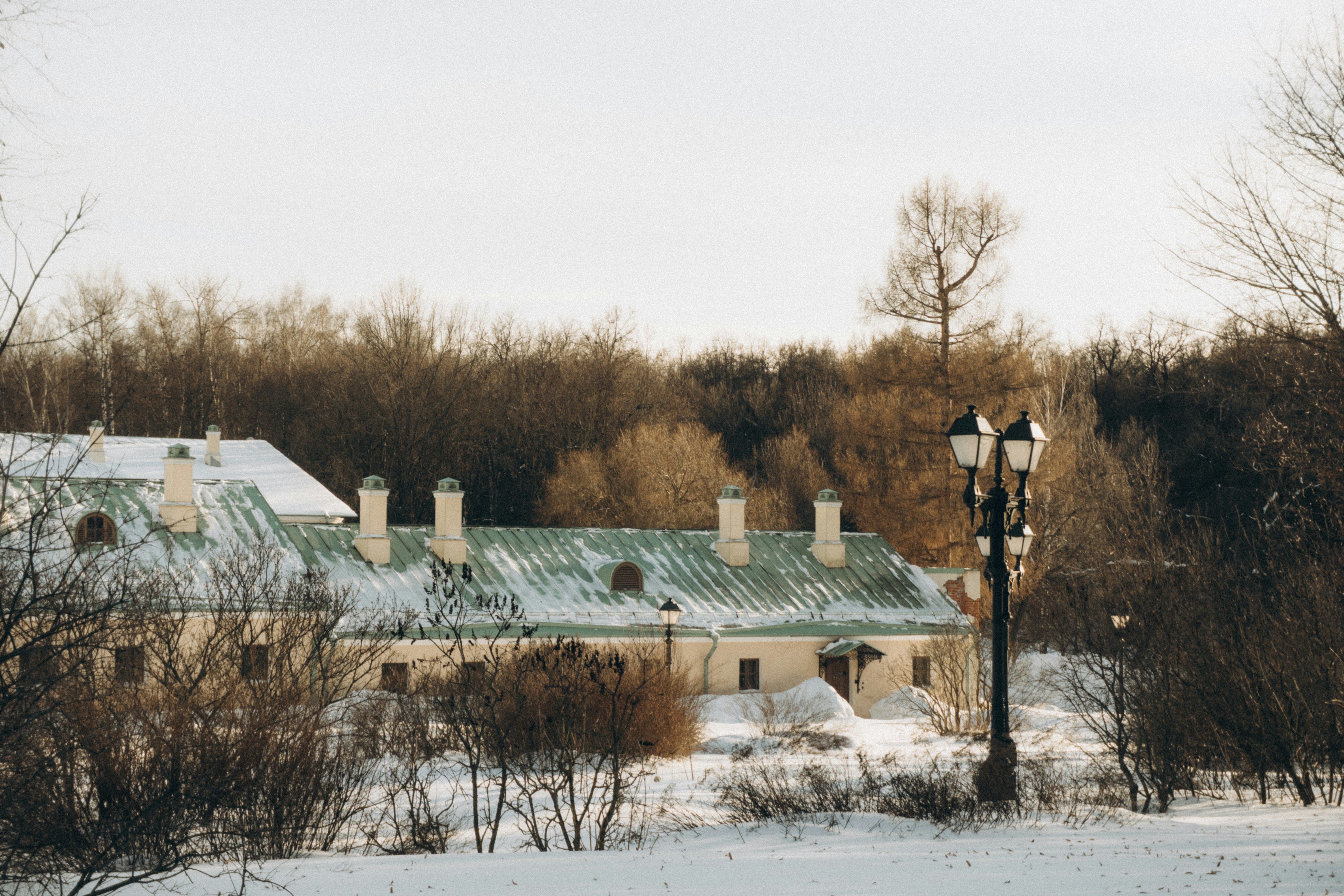 Snow-covered buildings with bare trees in winter
