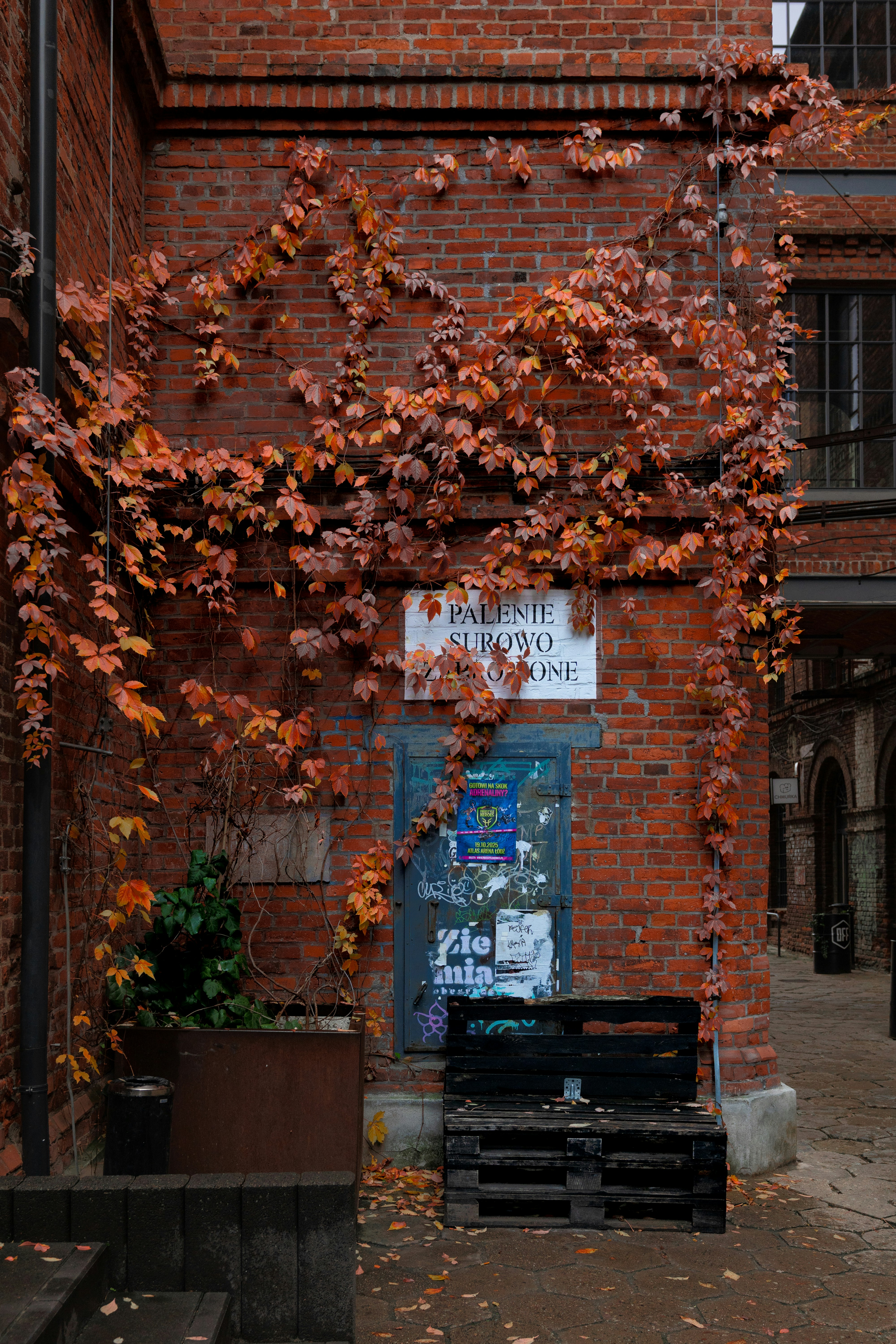 Orange leaves climb a brick wall with posters.