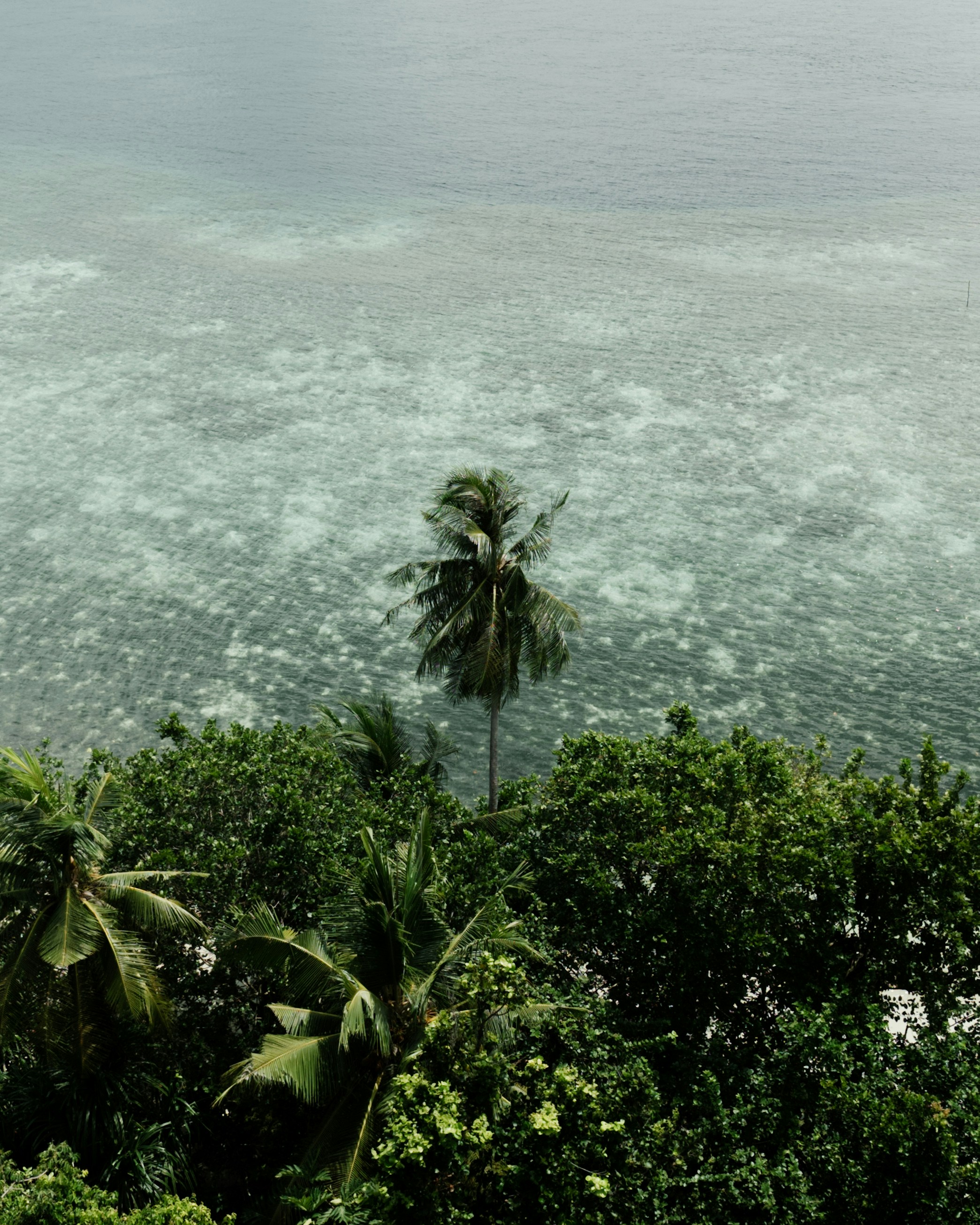 Photo by matthewmosbauer