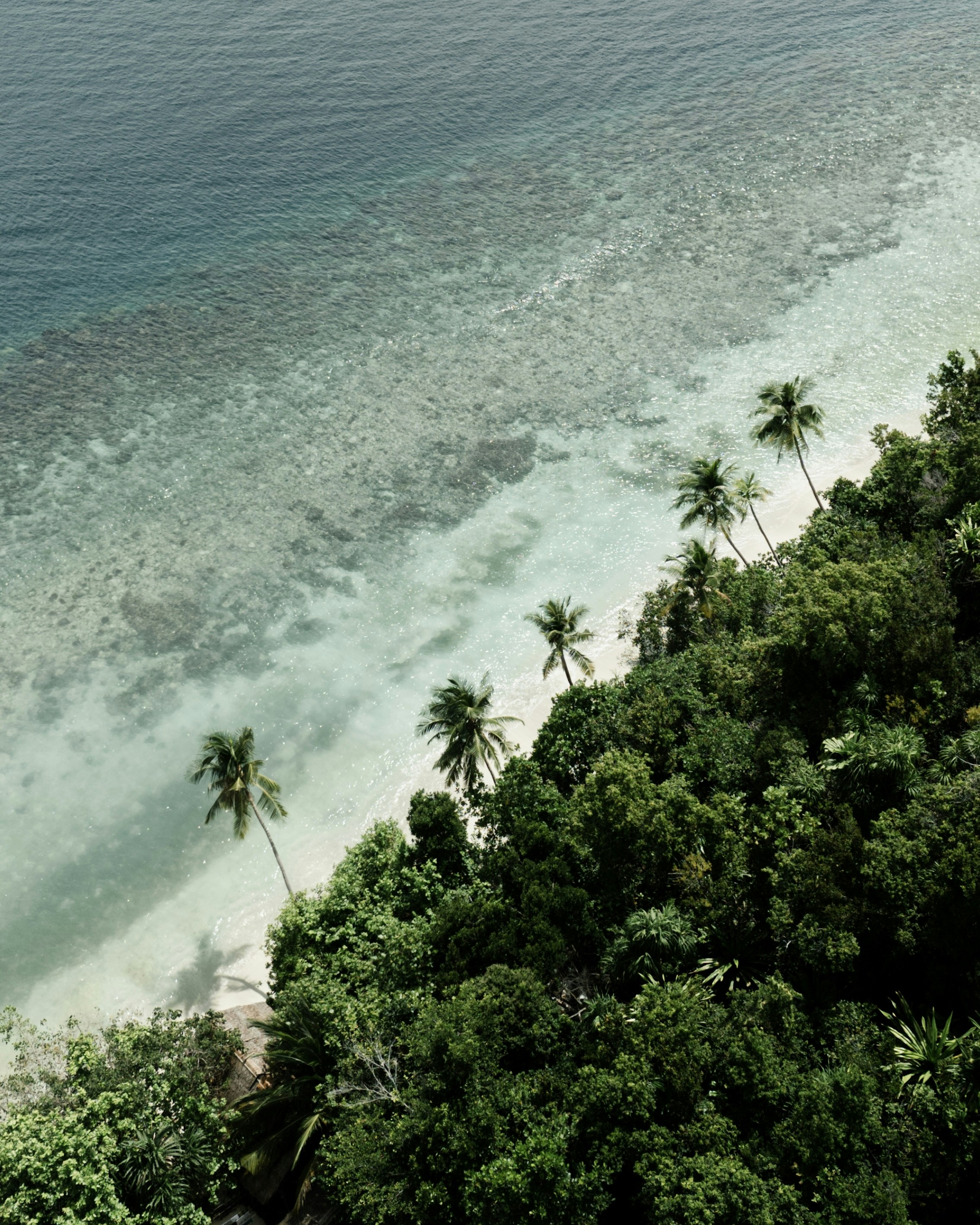 Photo by matthewmosbauer