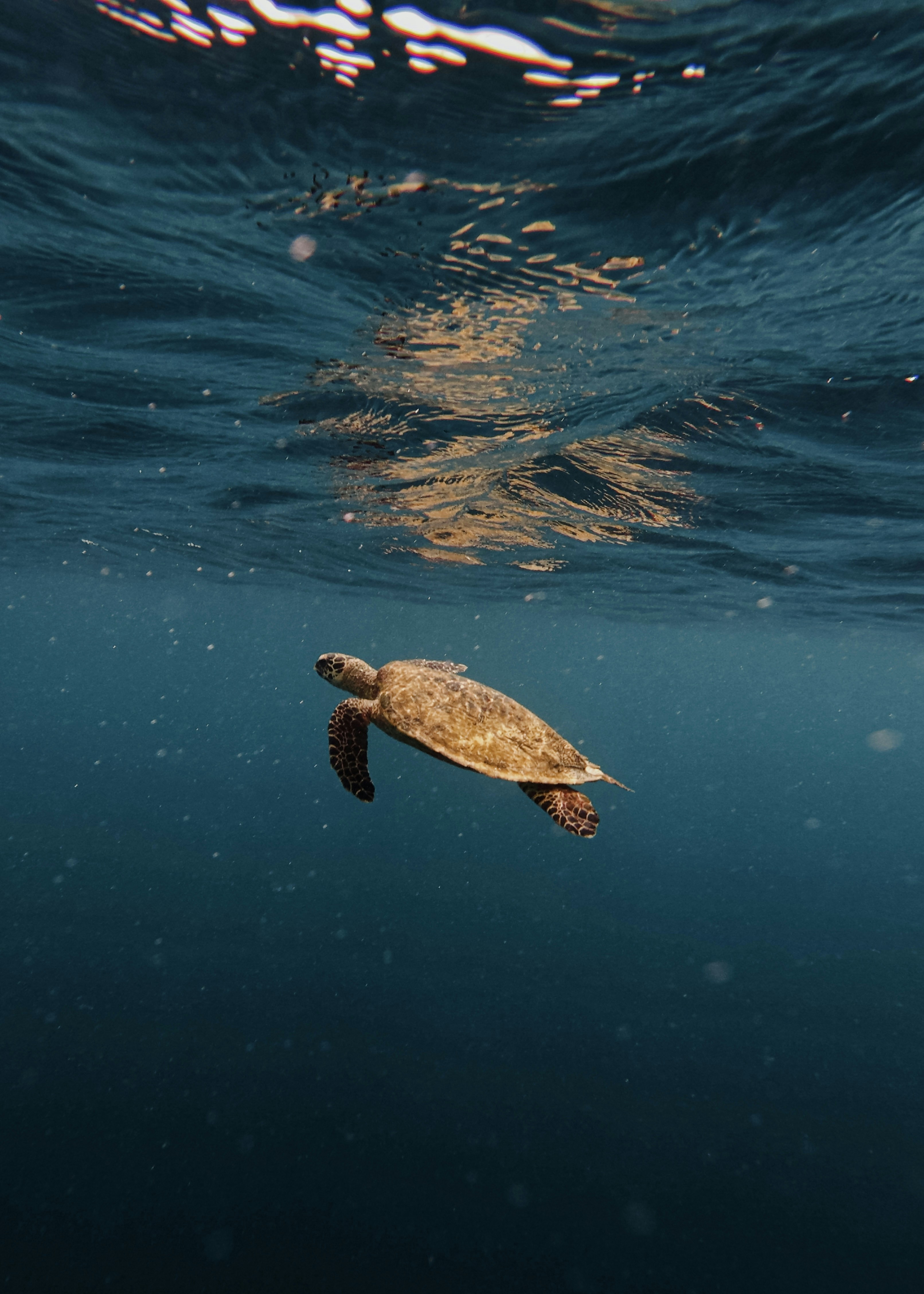 Photo by matthewmosbauer