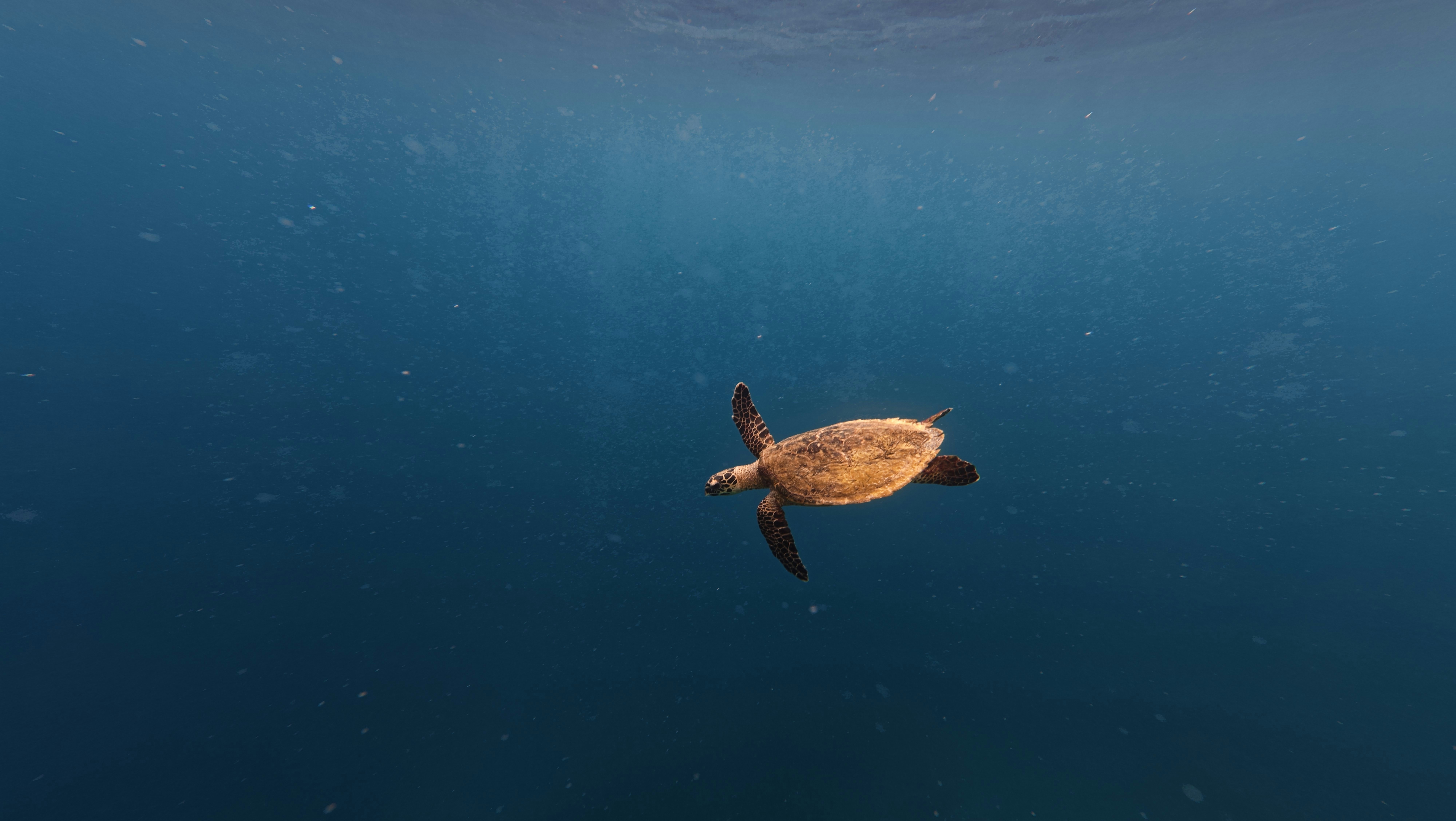 Photo by matthewmosbauer