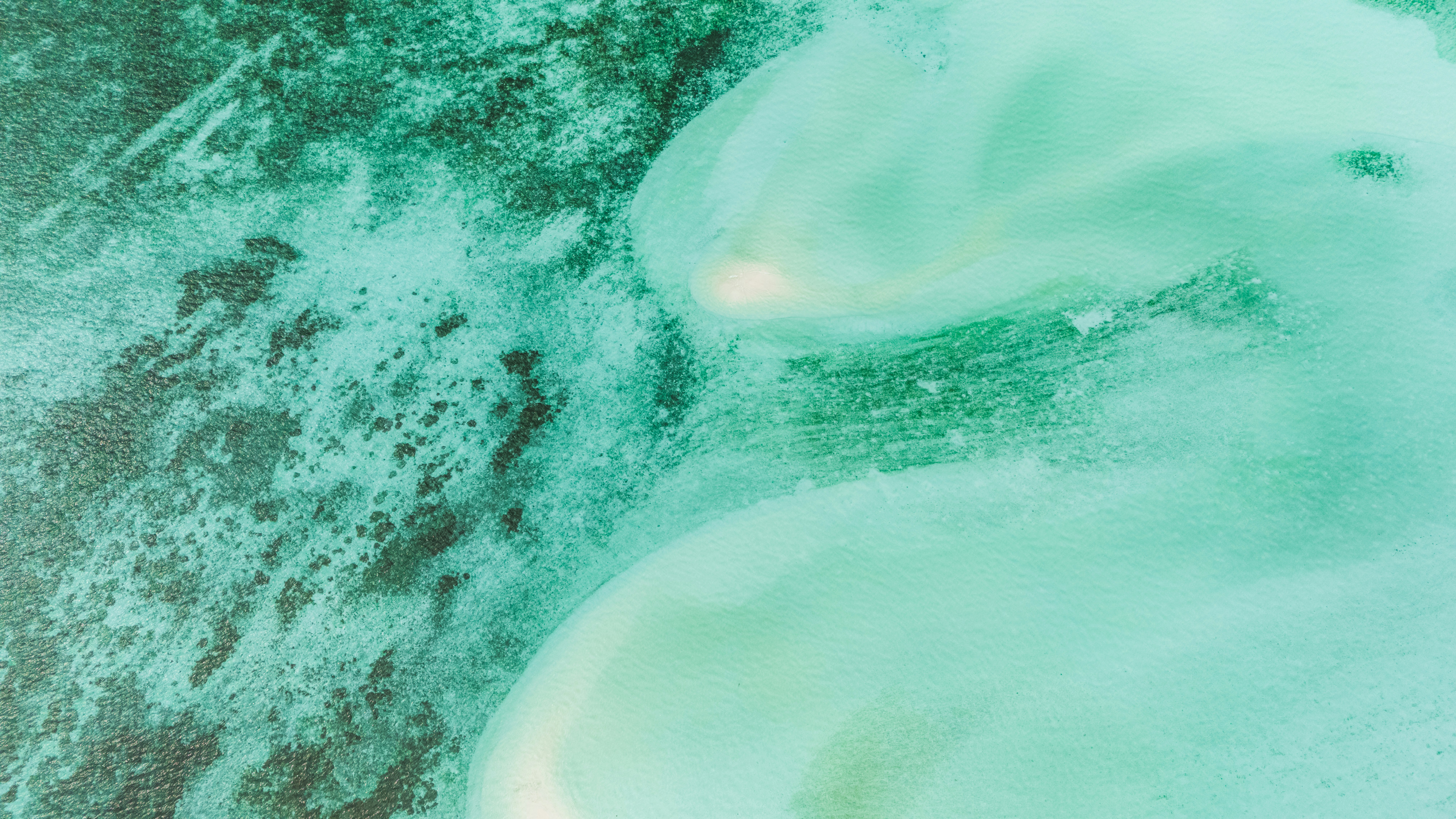 Photo by matthewmosbauer