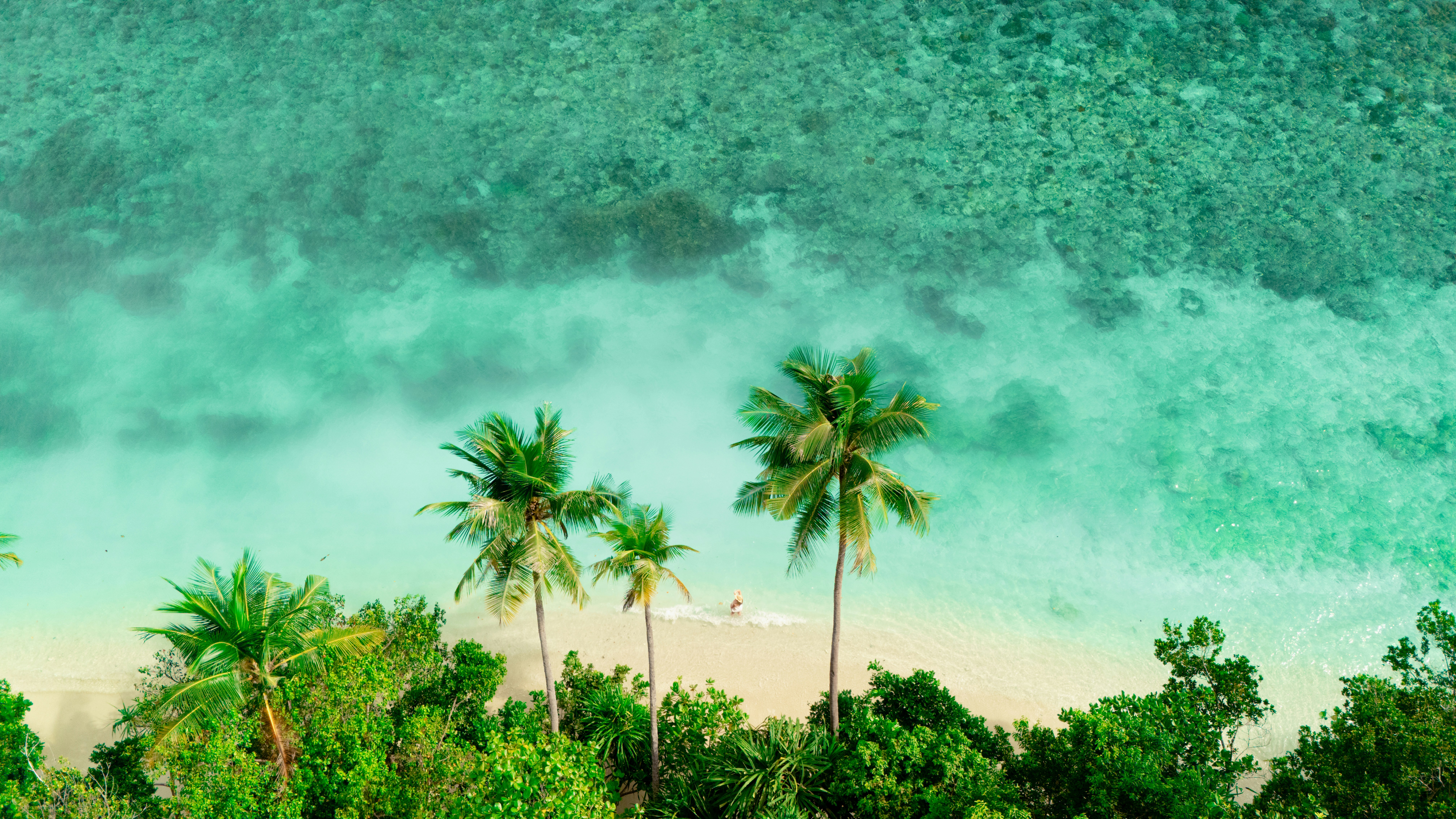 Photo by matthewmosbauer