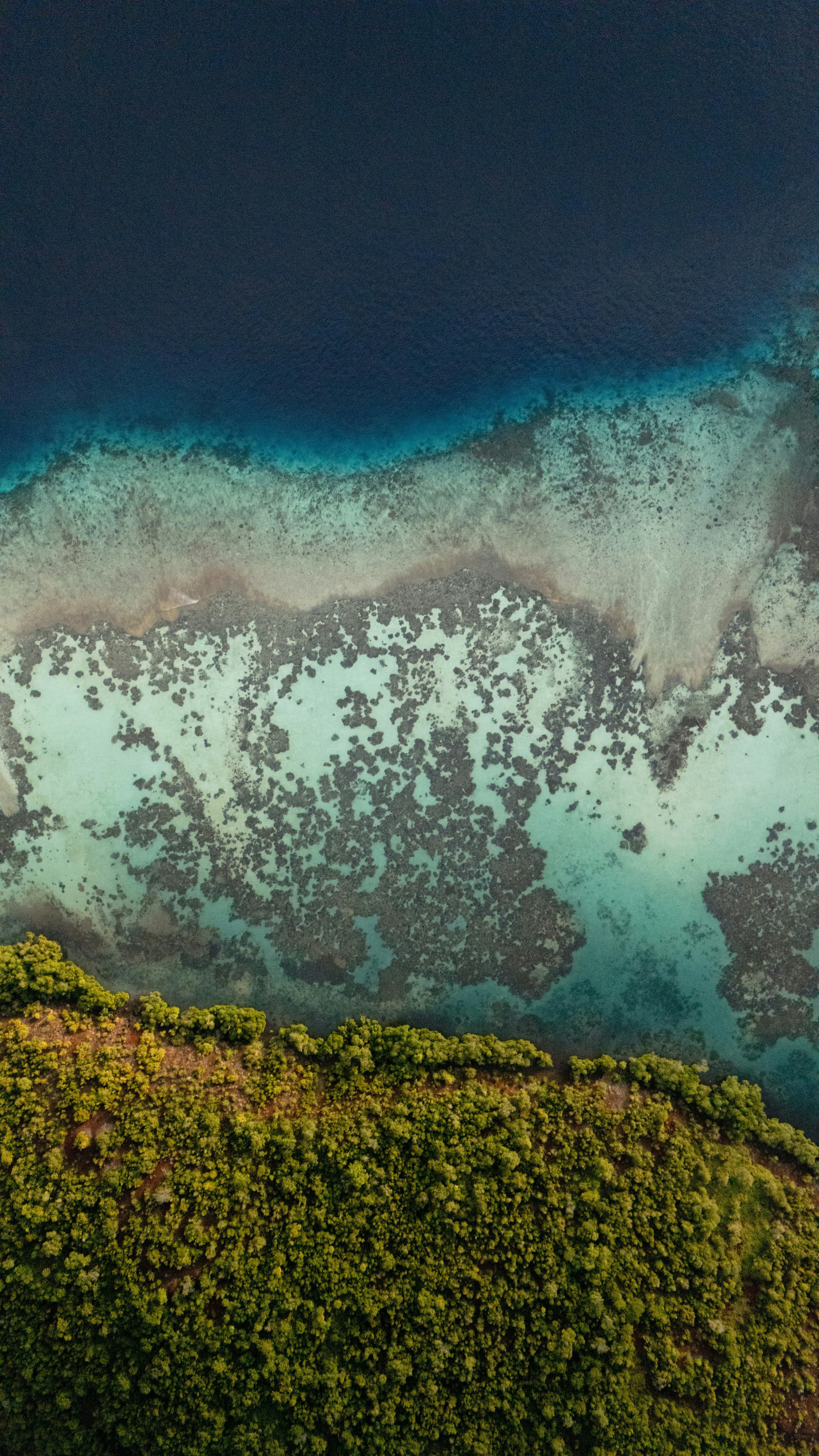 Photo by matthewmosbauer