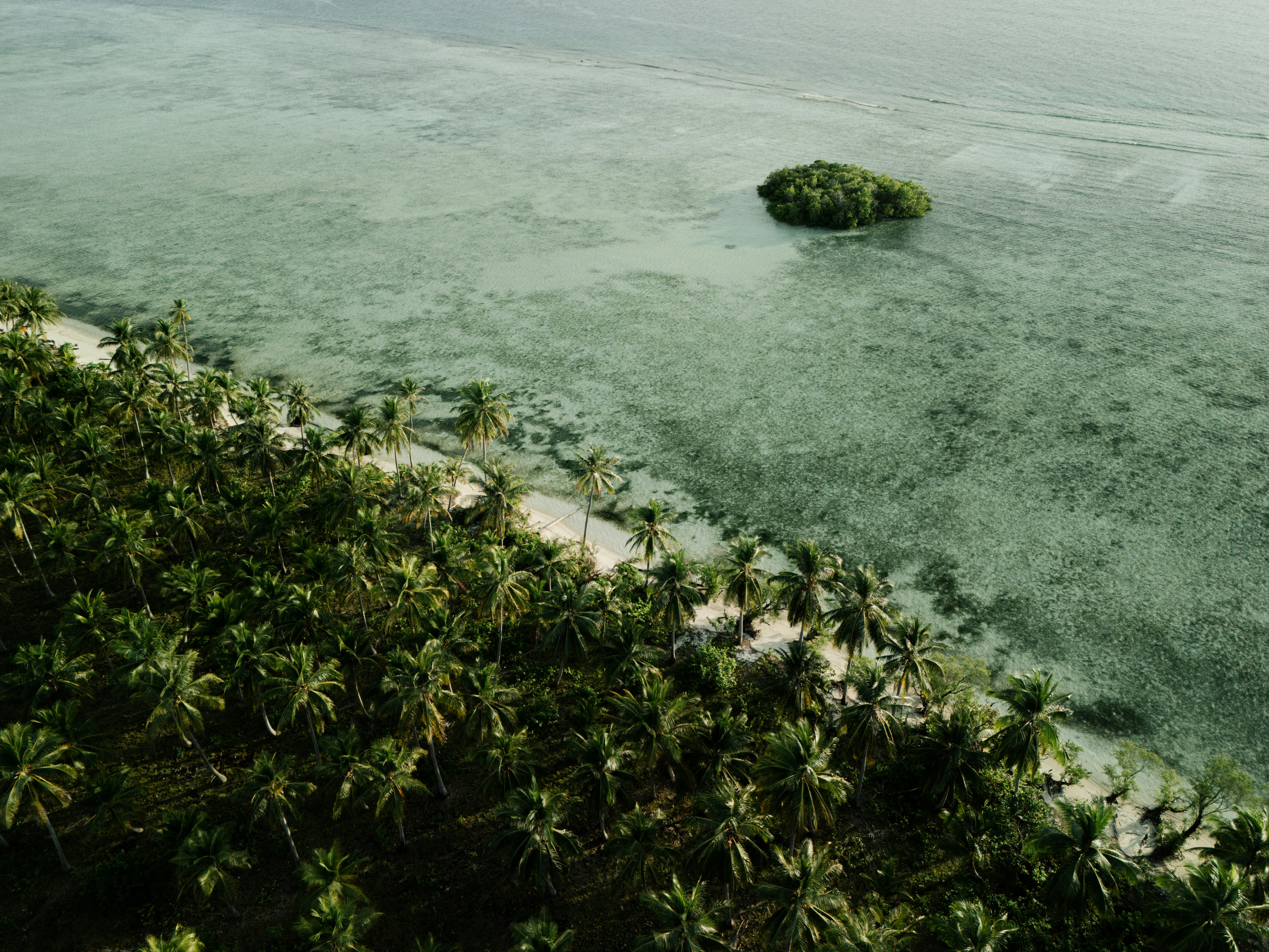 Photo by matthewmosbauer