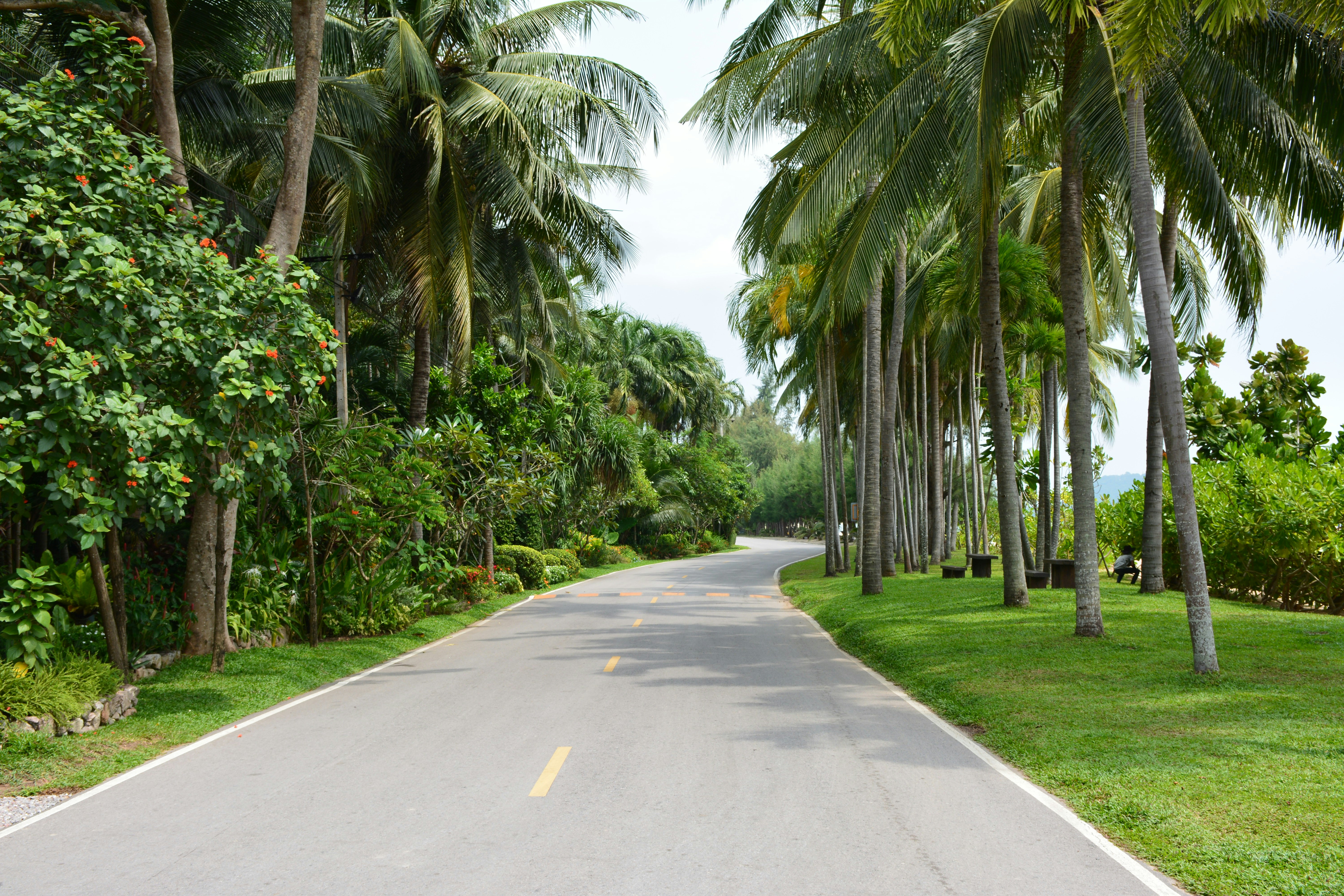 Photo by siamways_thailand_individualreisen