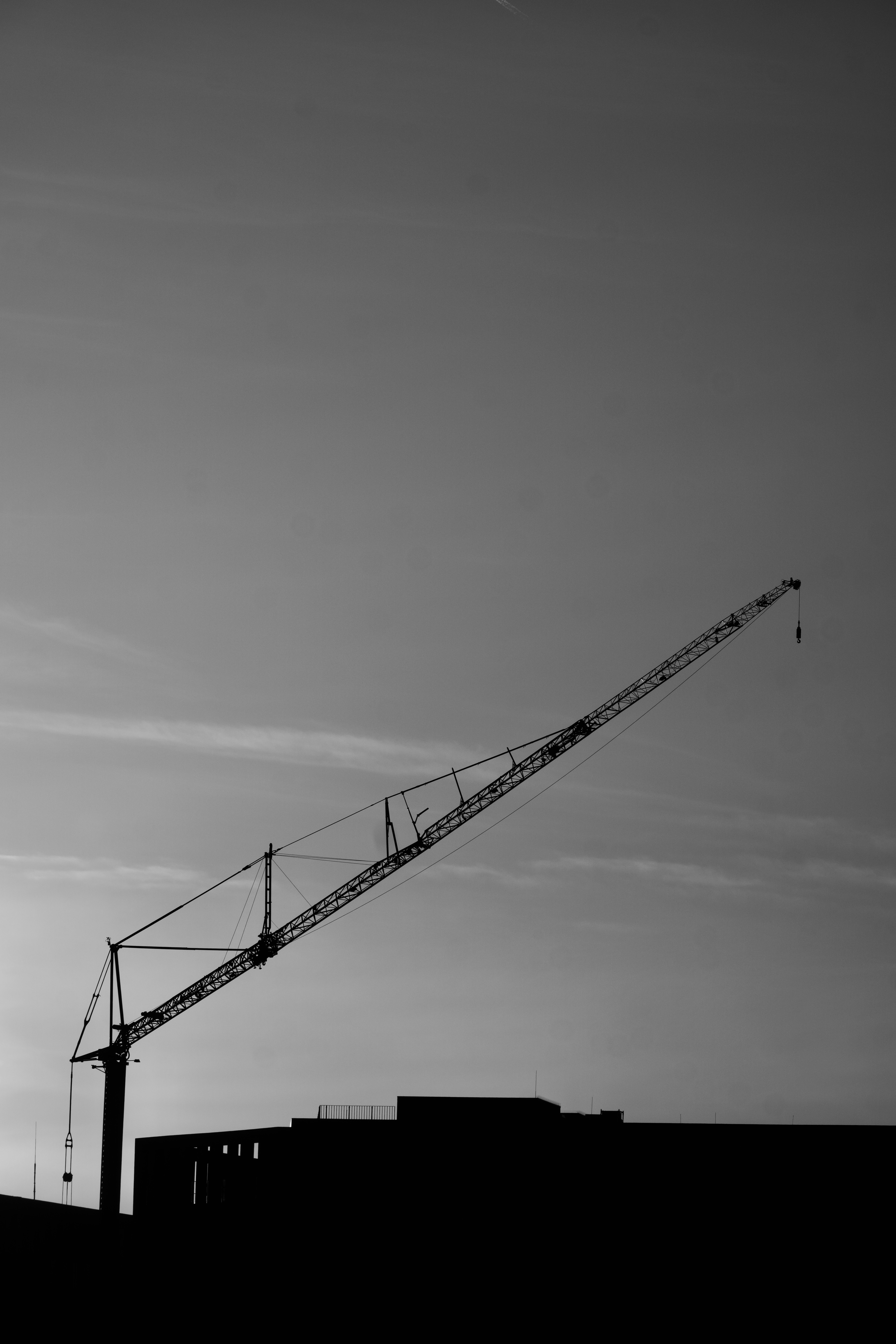 Photo by quang_quang