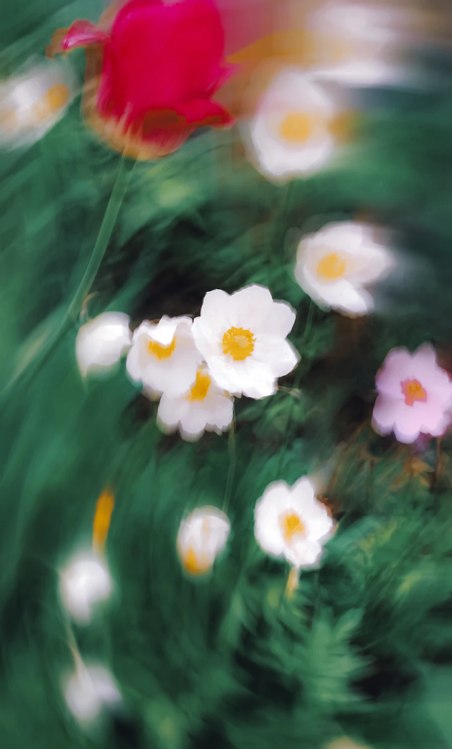 Photograph 9 by Eugene Golovesov