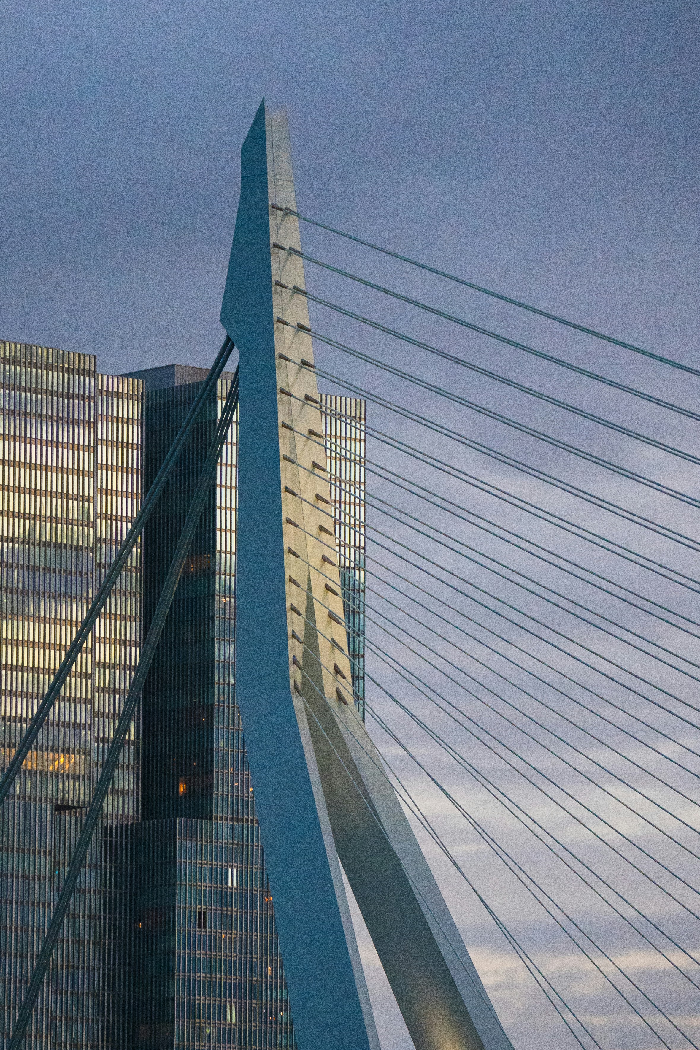 Photo by rizzardi_alex