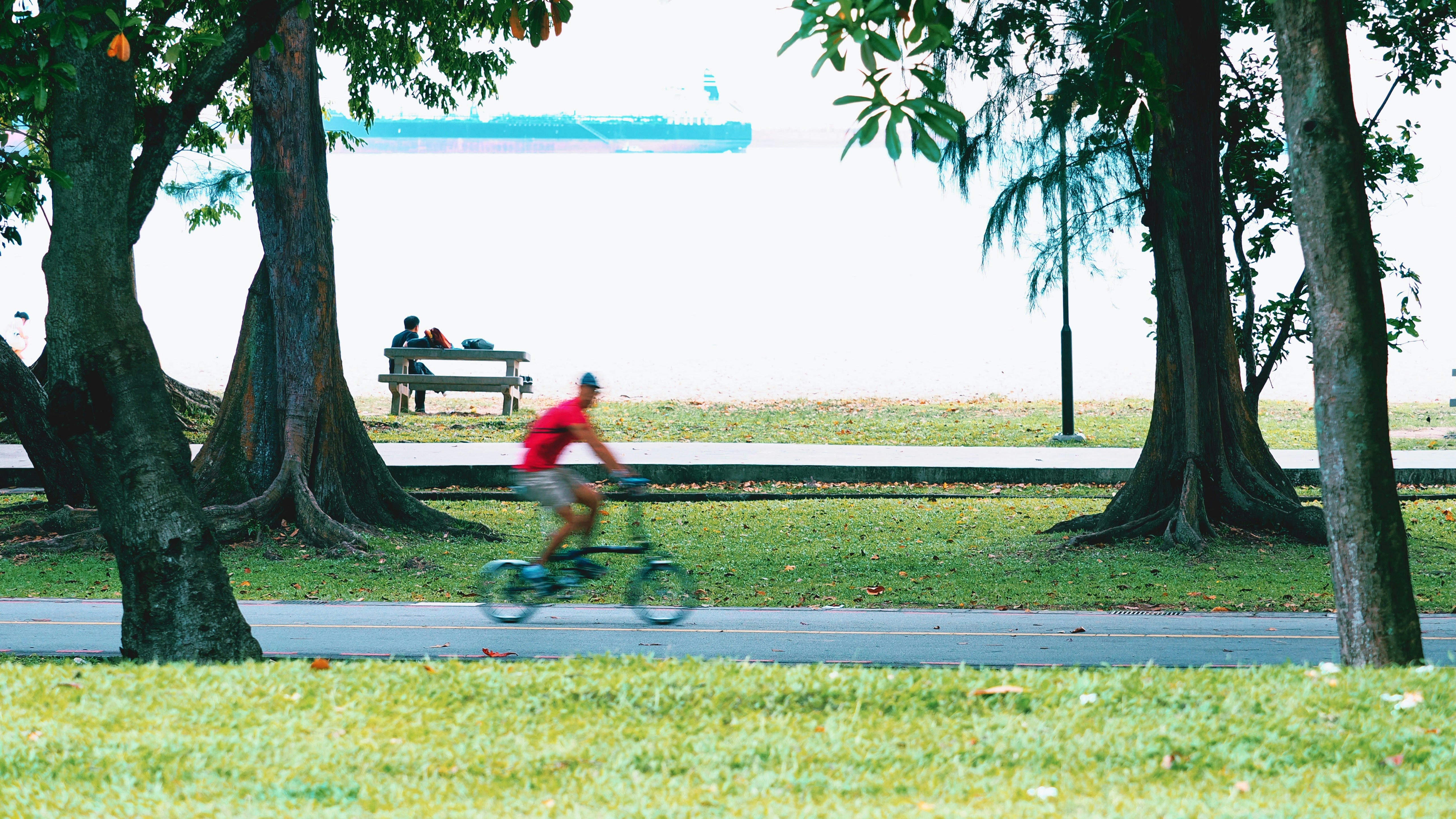 Man rides bicycle on path beside trees and water