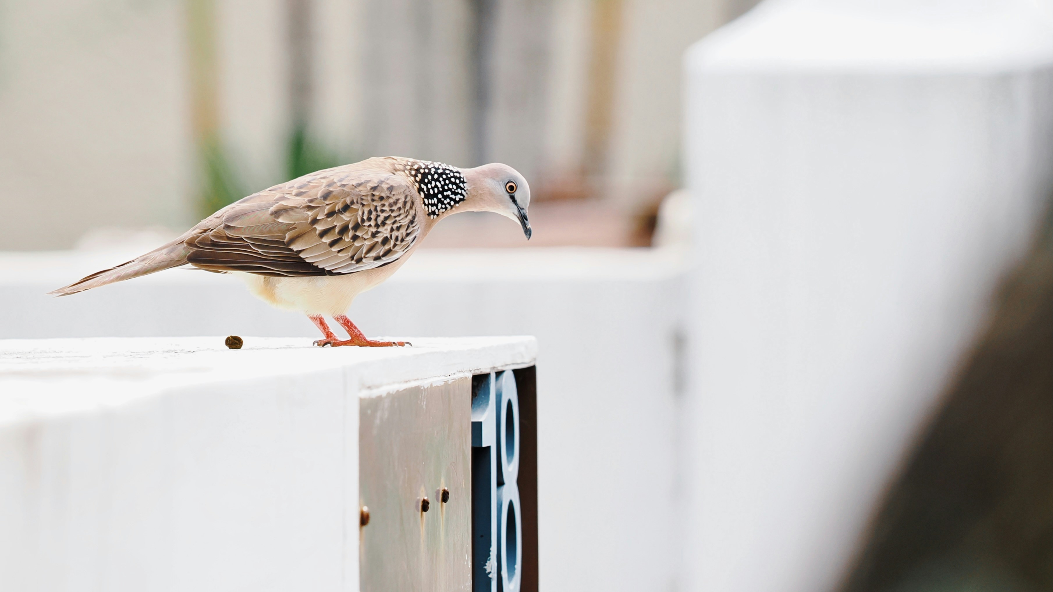 Photo by liliantruong2603