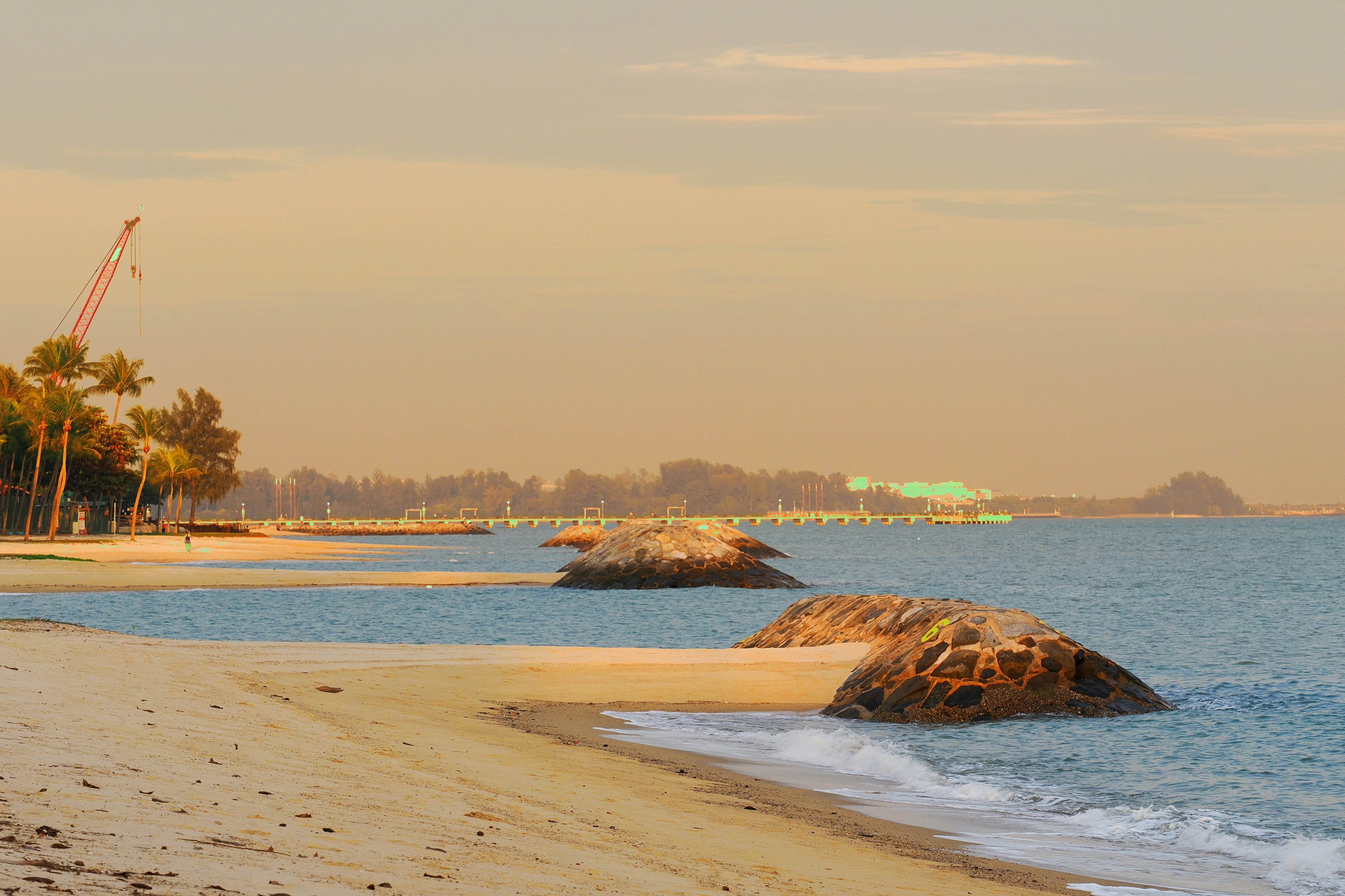 Photo by liliantruong2603