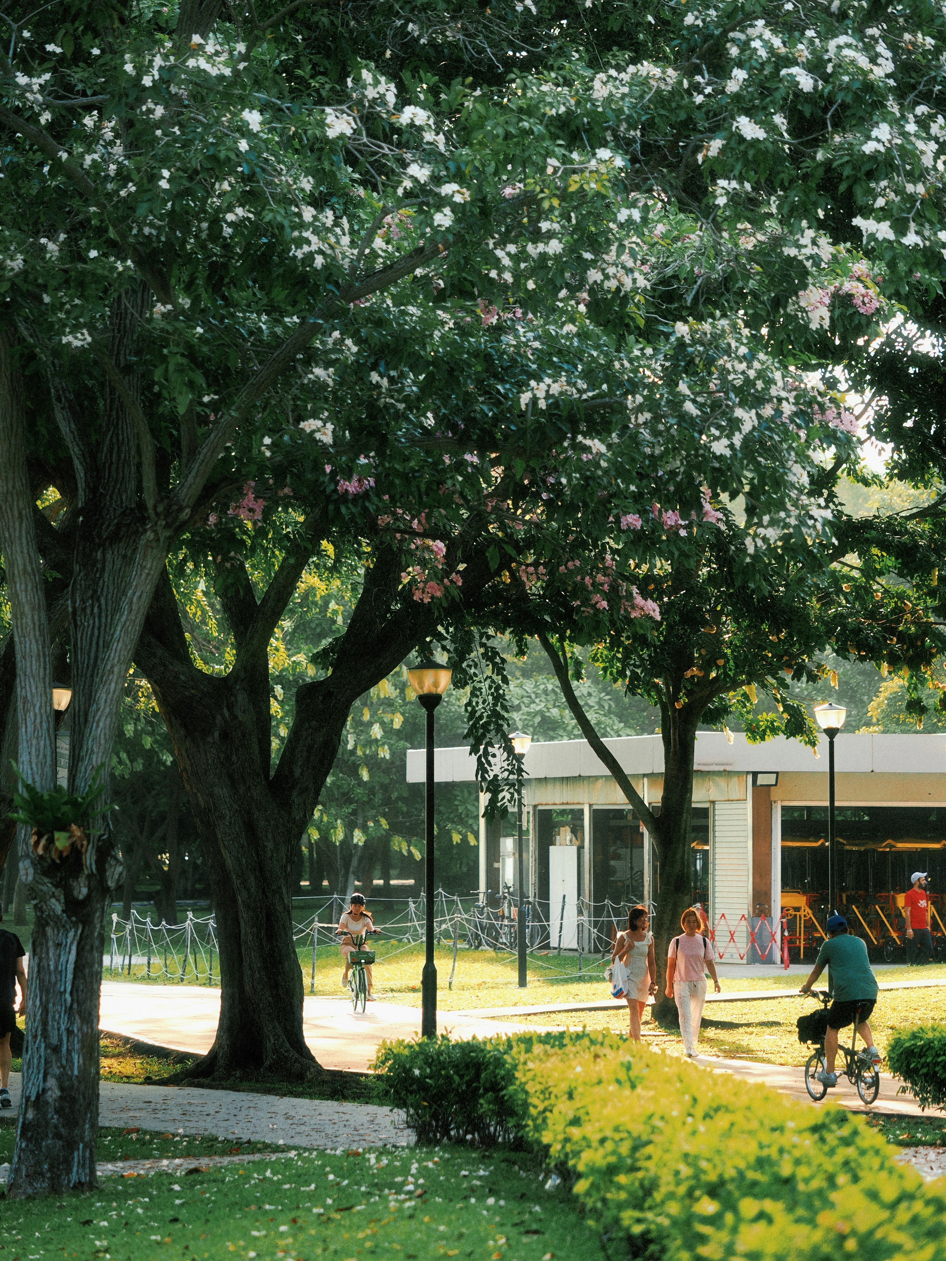 Photo by liliantruong2603