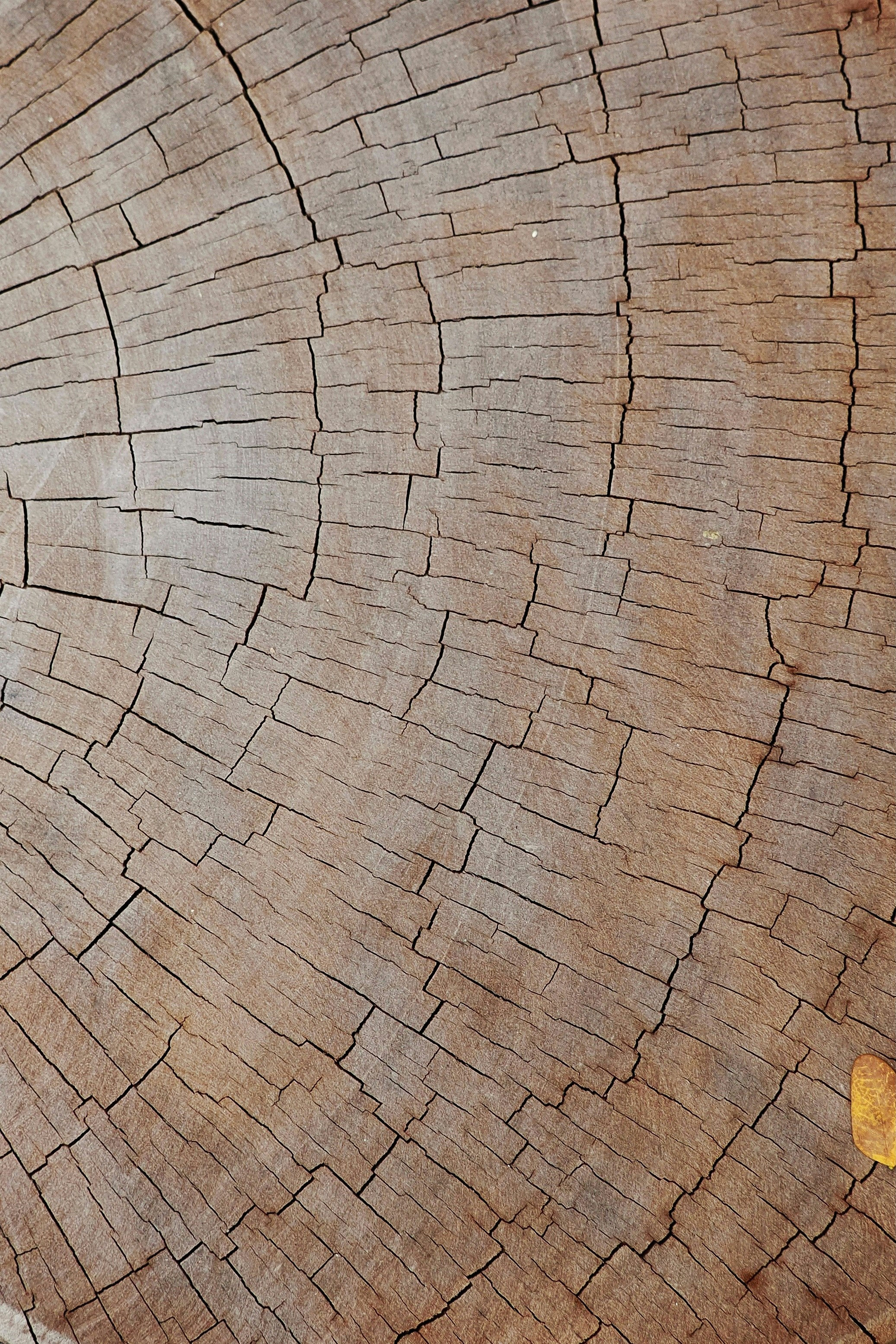 Photo by liliantruong2603