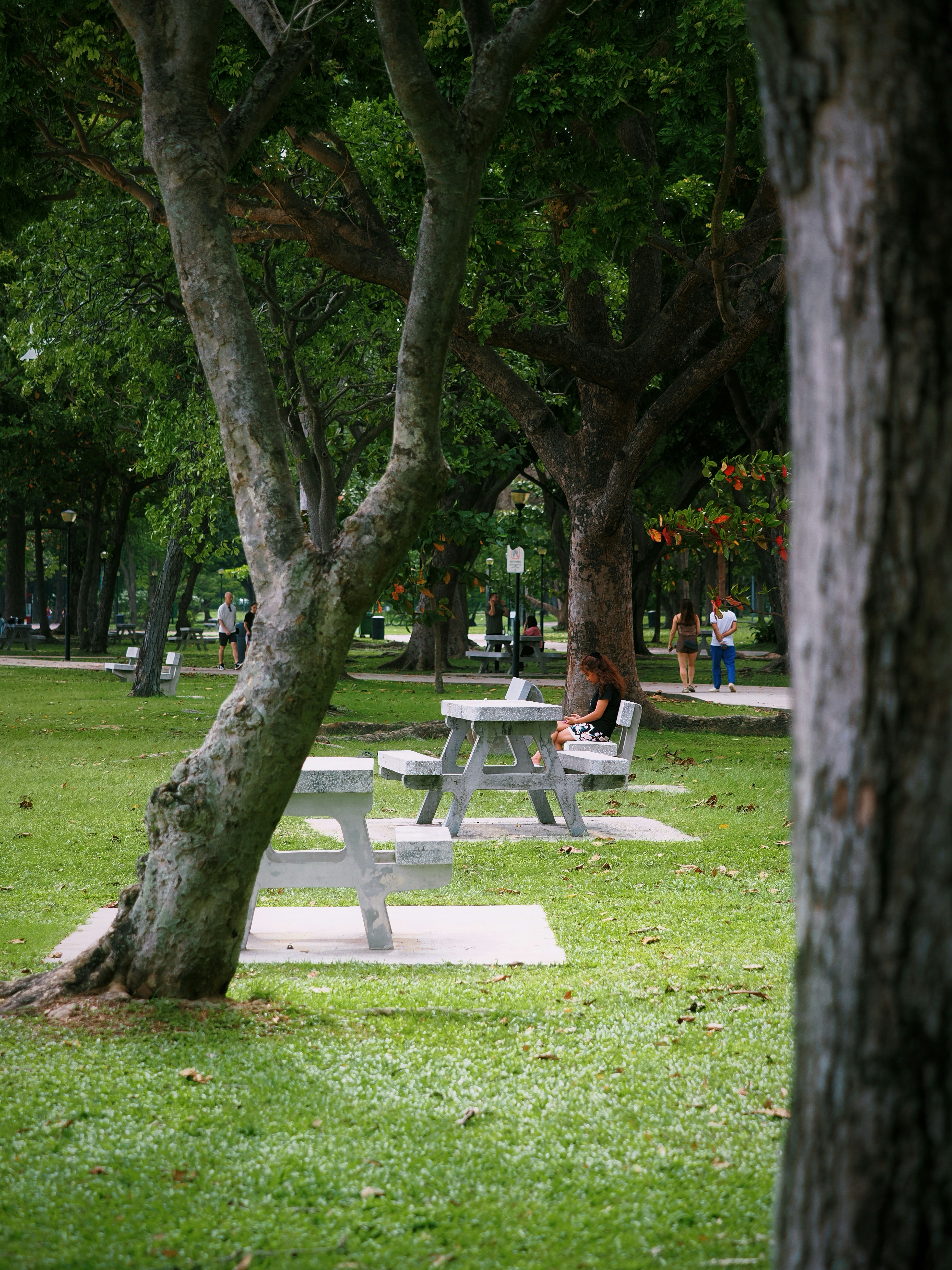 Photo by liliantruong2603