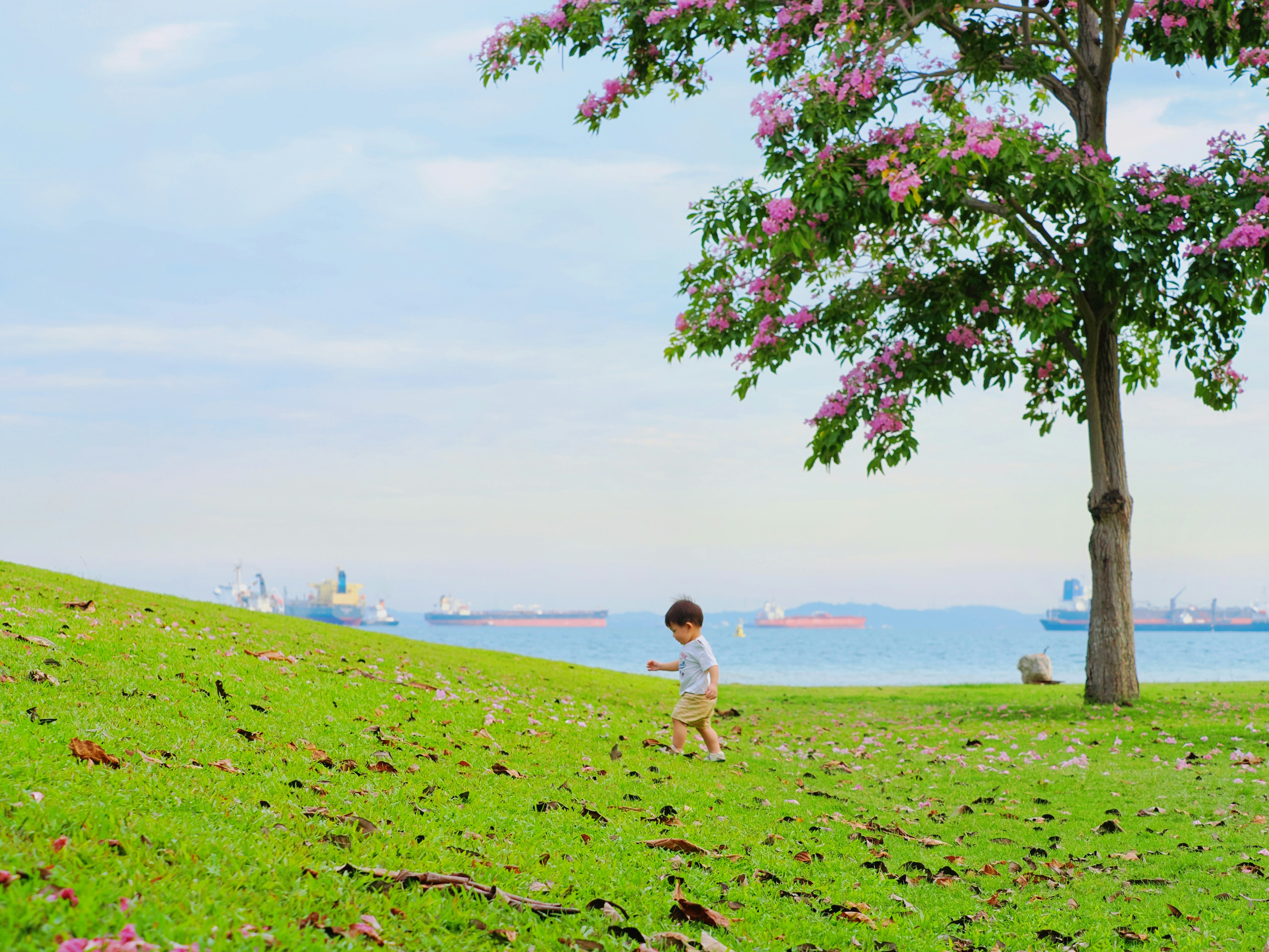 Photo by liliantruong2603