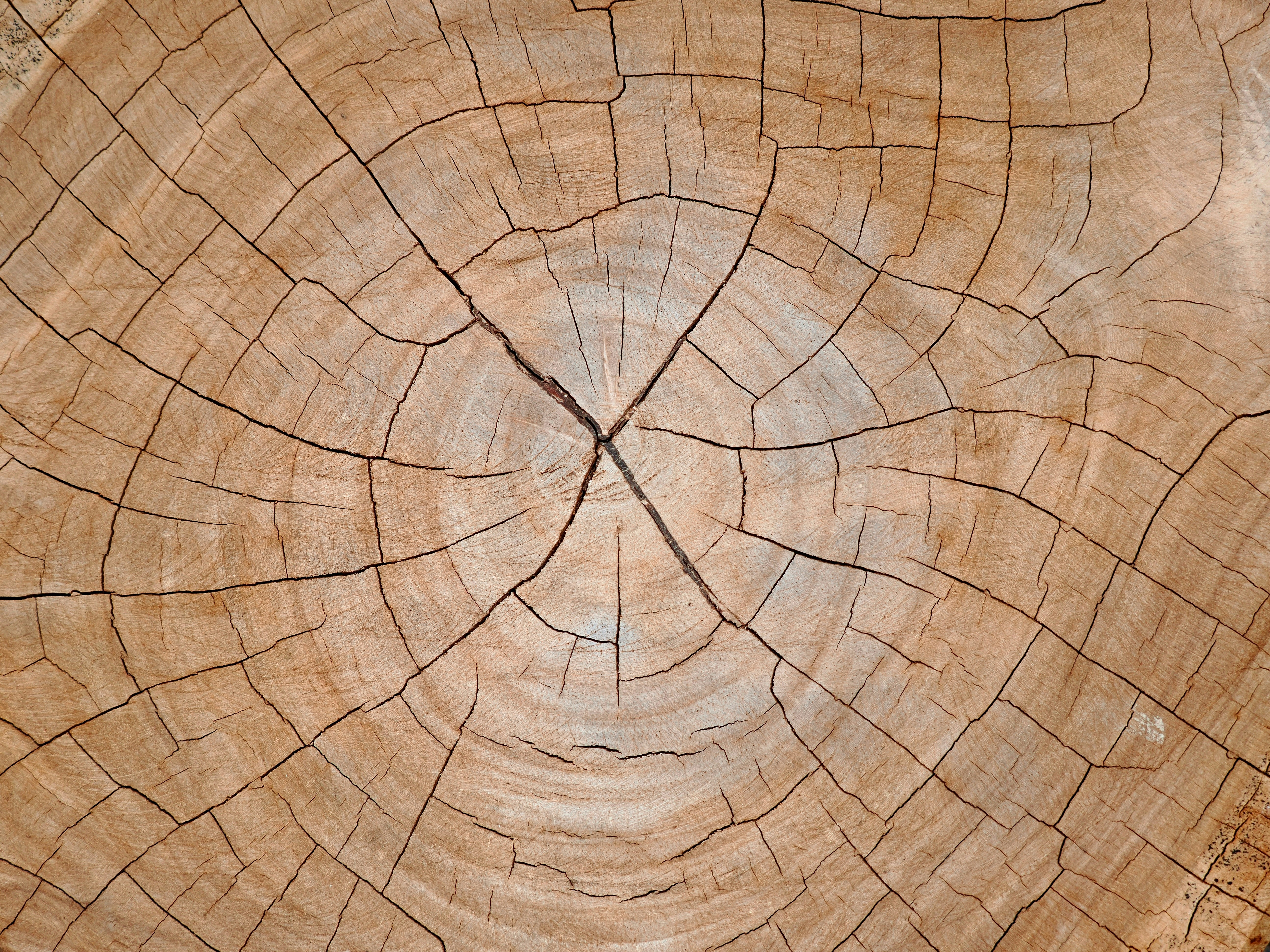 Photo by liliantruong2603