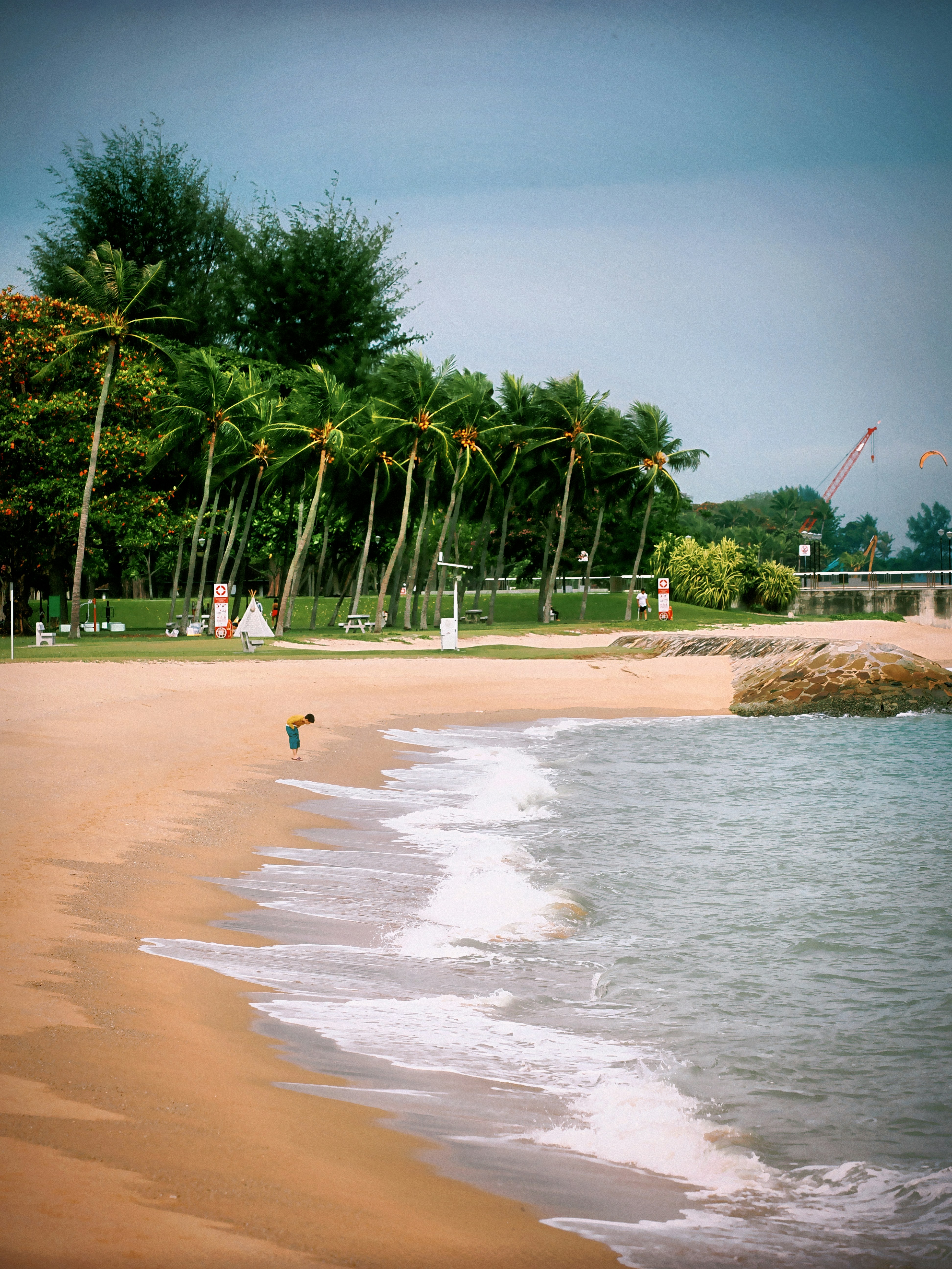 Photo by liliantruong2603