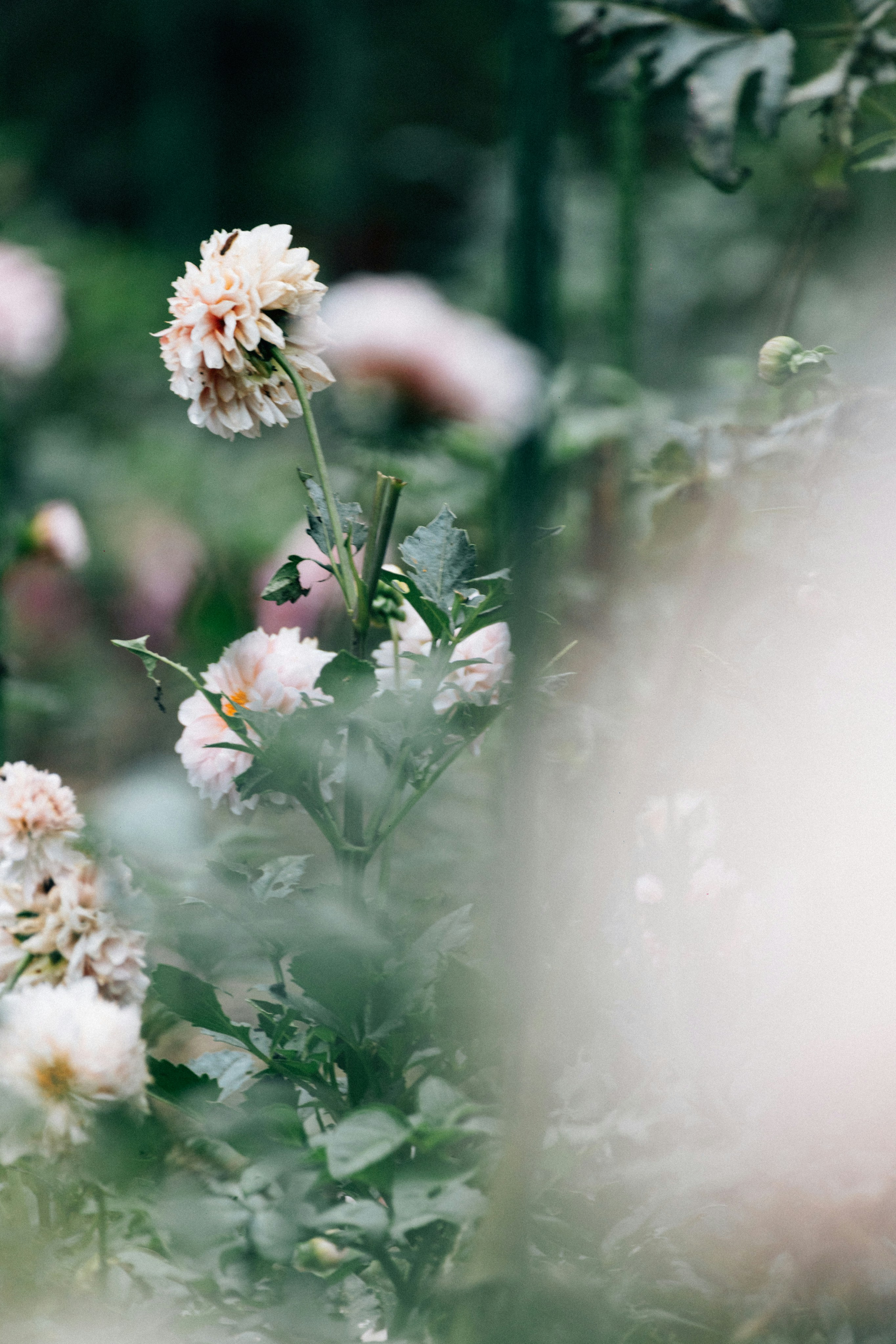 Photo by tsuyoshikozu