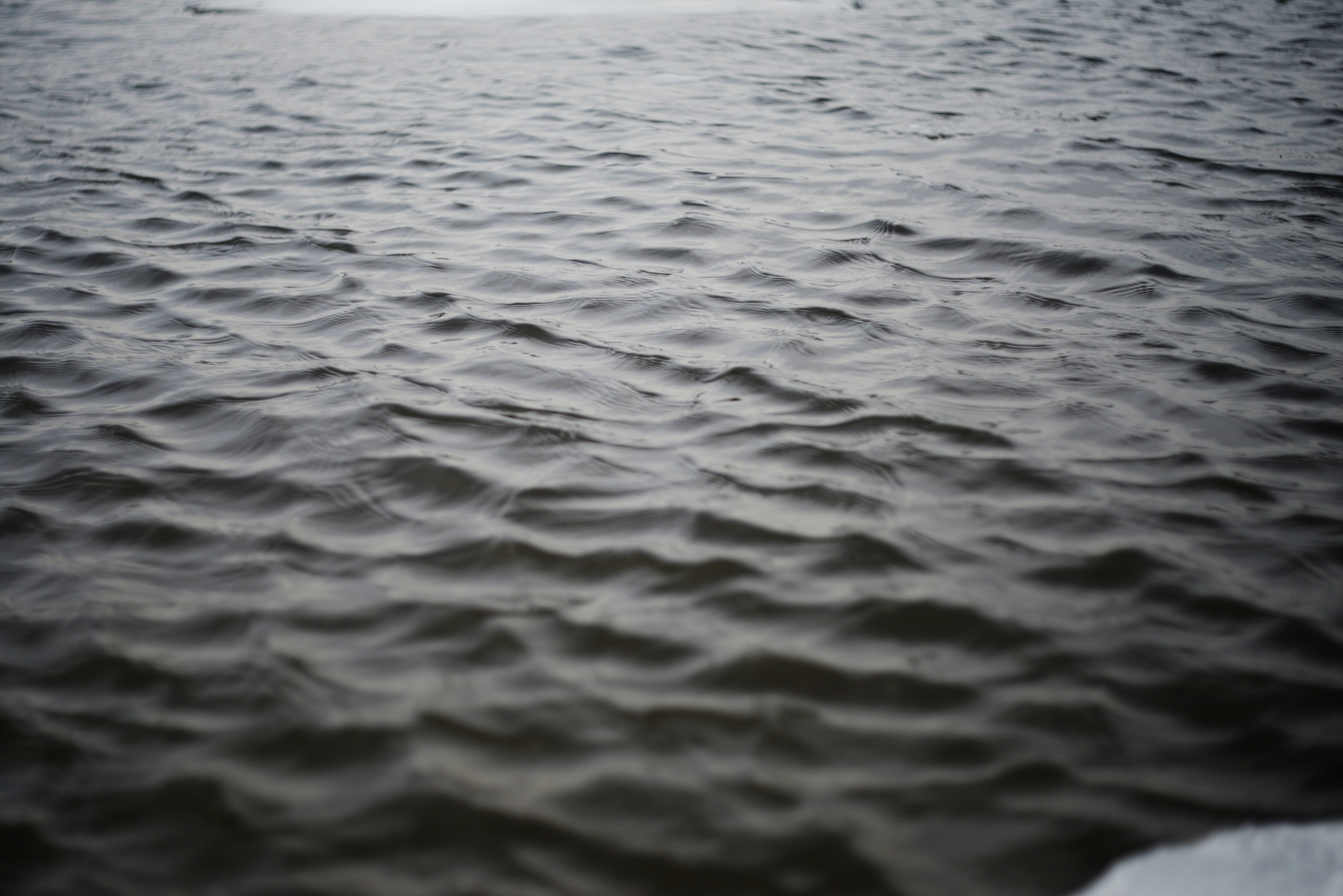 Photo by cherstve_pechivo